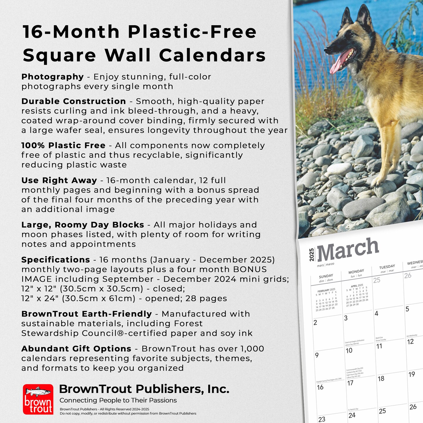 Belgian Malinois | 2025 12 x 24 Inch Monthly Square Wall Calendar | Plastic-Free | BrownTrout | Animals Dog Breeds