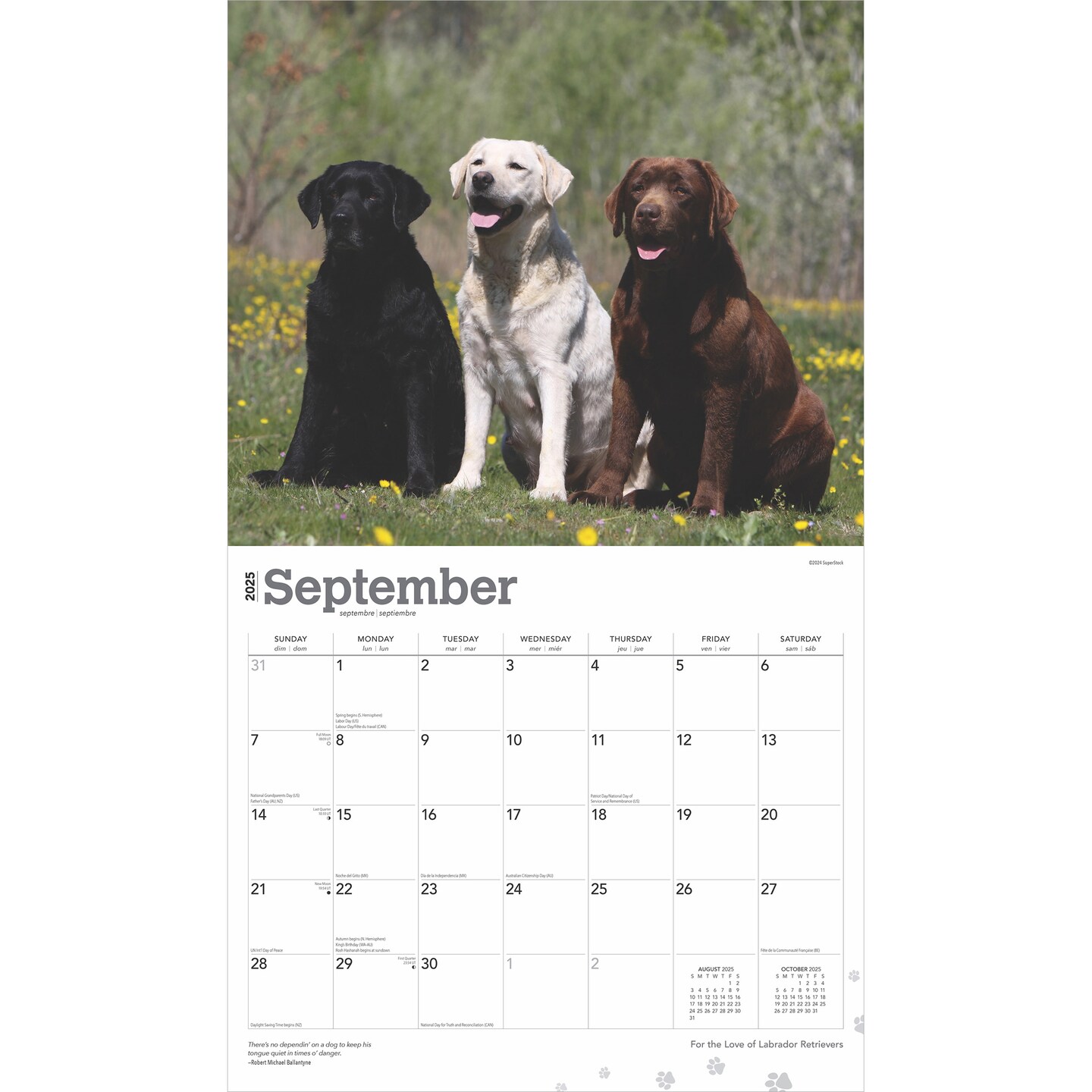 For the Love of Labrador Retrievers | 2025 14 x 24 Inch Monthly Deluxe Wall Calendar | Foil Stamped Cover | Plastic-Free | BrownTrout | Animal Dog Breeds