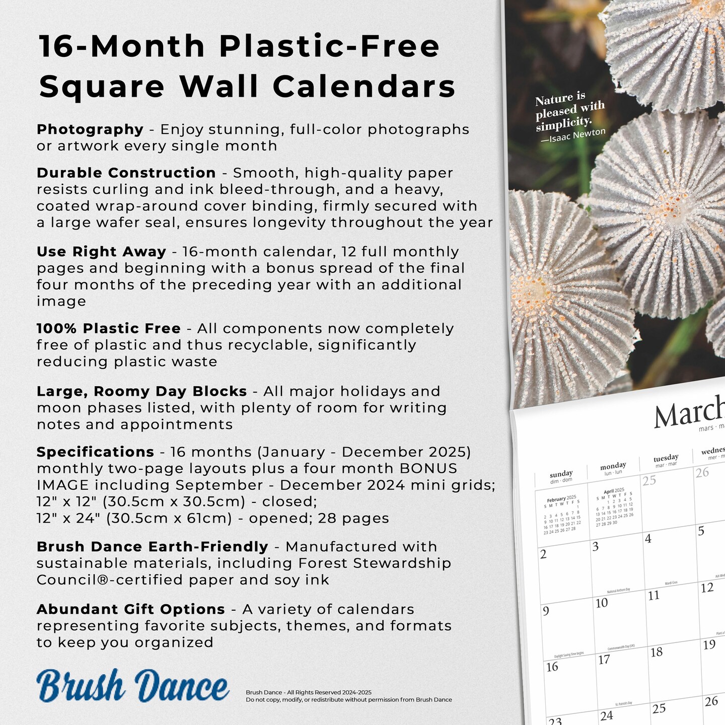 Magic Mushrooms | 2025 12 x 24 Inch Monthly Square Wall Calendar | Plastic-Free | Brush Dance | Fungus Fungi Microorganism