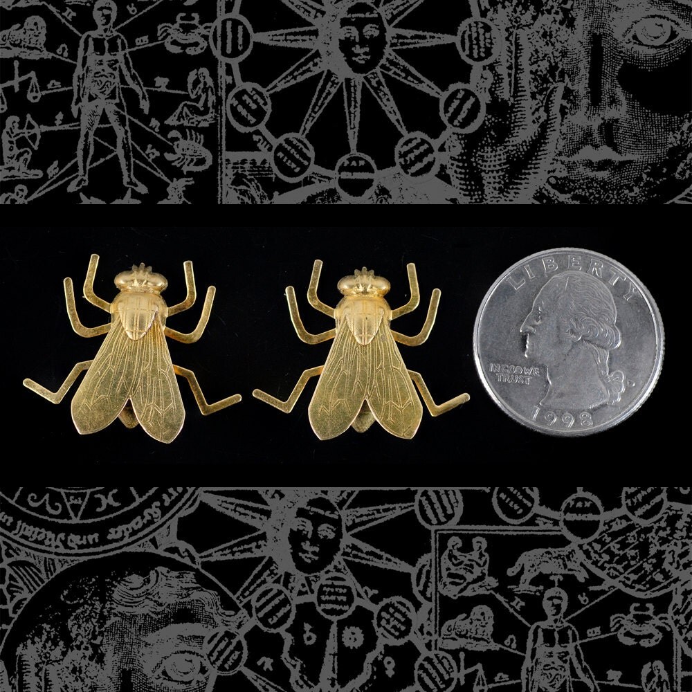 Raw Brass Life-Sized Fly Charm with Bendable Legs - Set of Two - XXX - B-C130