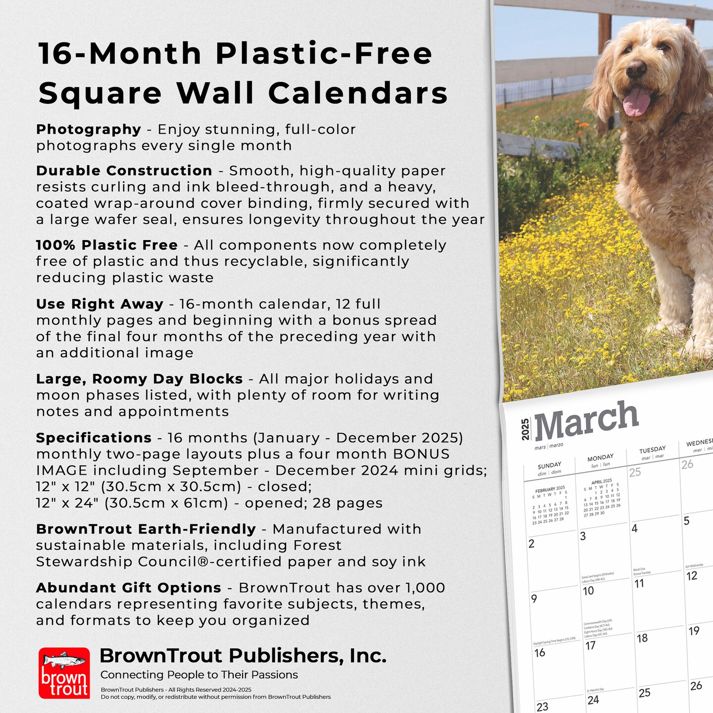 Goldendoodles | 2025 12 x 24 Inch Monthly Square Wall Calendar | Plastic-Free | BrownTrout | Animals Mixed Dog Breeds