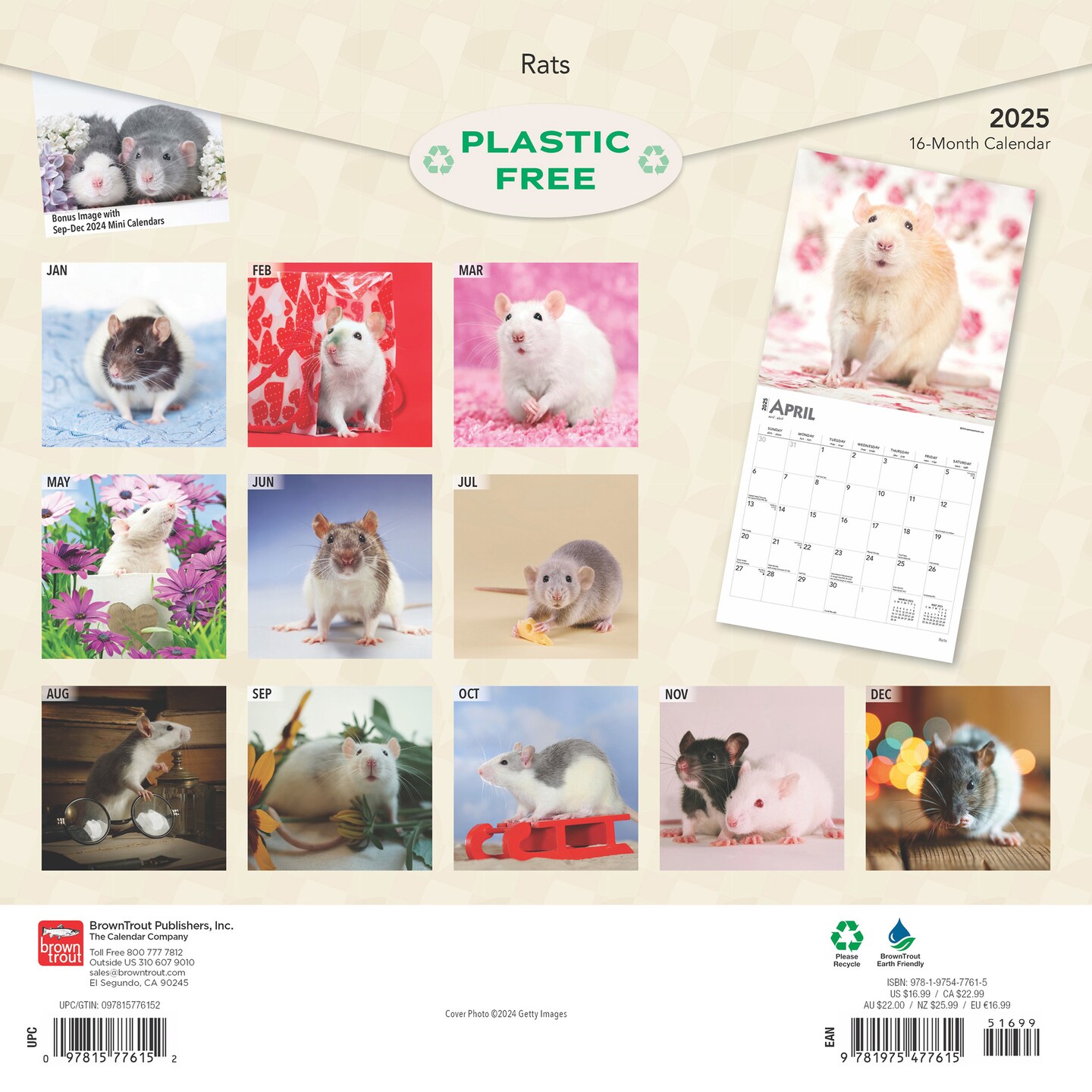 Rats | 2025 12 x 24 Inch Monthly Square Wall Calendar | Plastic-Free | BrownTrout | Domestic Animals Mouse
