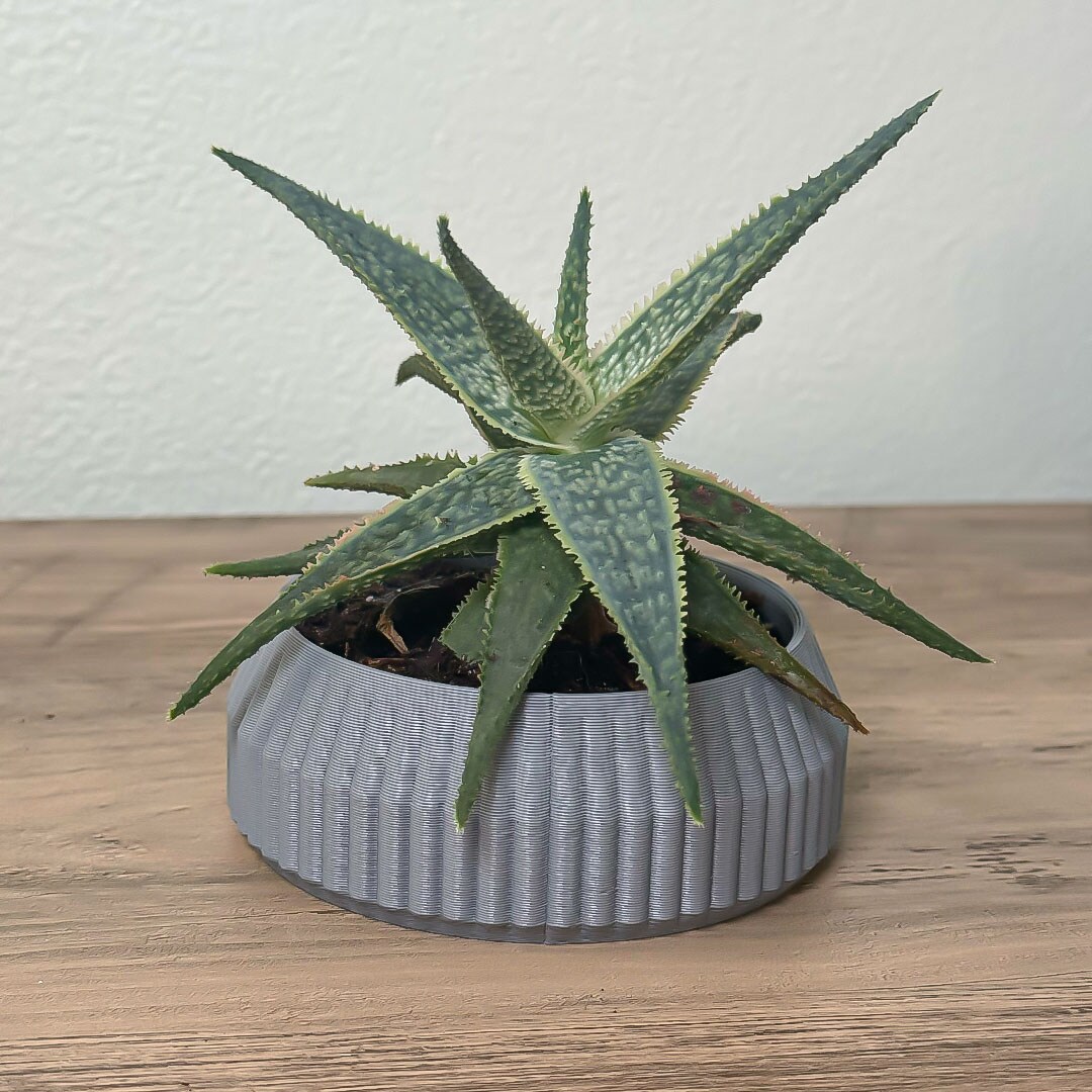 air plant stands Mini Air Plant Stand – Cerulean Arts