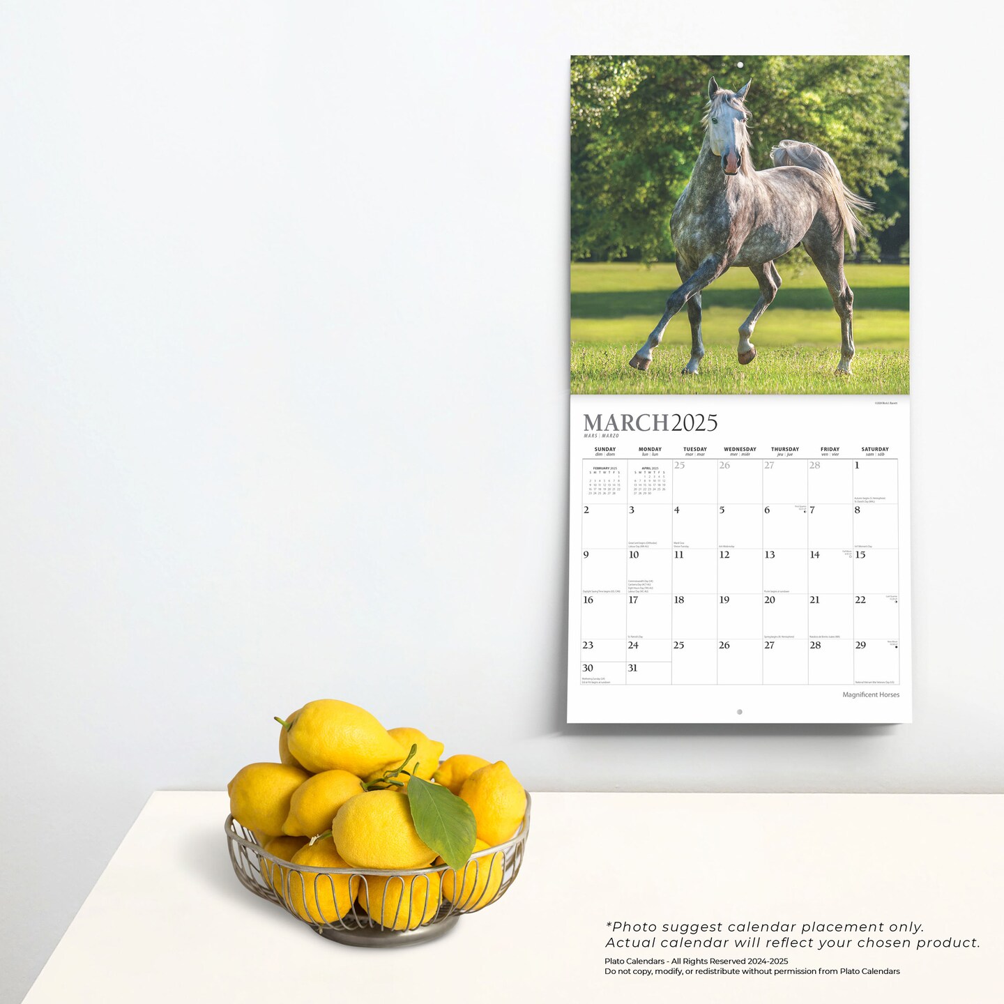 Magnificent Horses | 2025 12 x 24 Inch Monthly Square Wall Calendar | Foil Stamped Cover | Plato | Animals Horses Equestrian