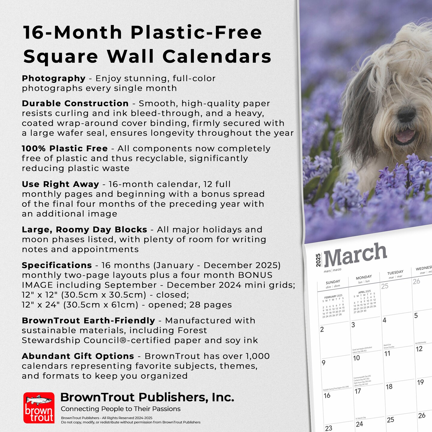 Old English Sheepdogs | 2025 12 x 24 Inch Monthly Square Wall Calendar | Plastic-Free | BrownTrout | Animals Dog Breeds