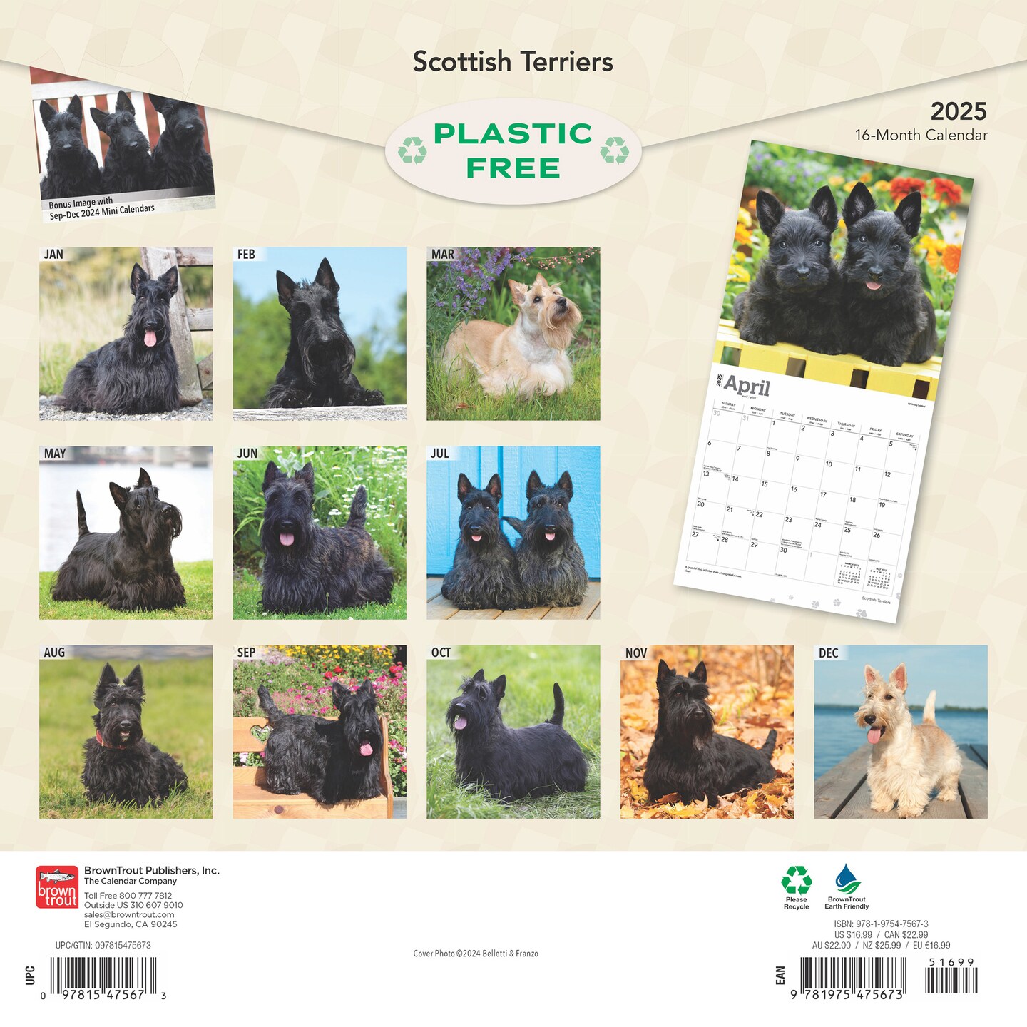 Scottish Terriers | 2025 12 x 24 Inch Monthly Square Wall Calendar | Plastic-Free | BrownTrout | Animals Small Scottie
