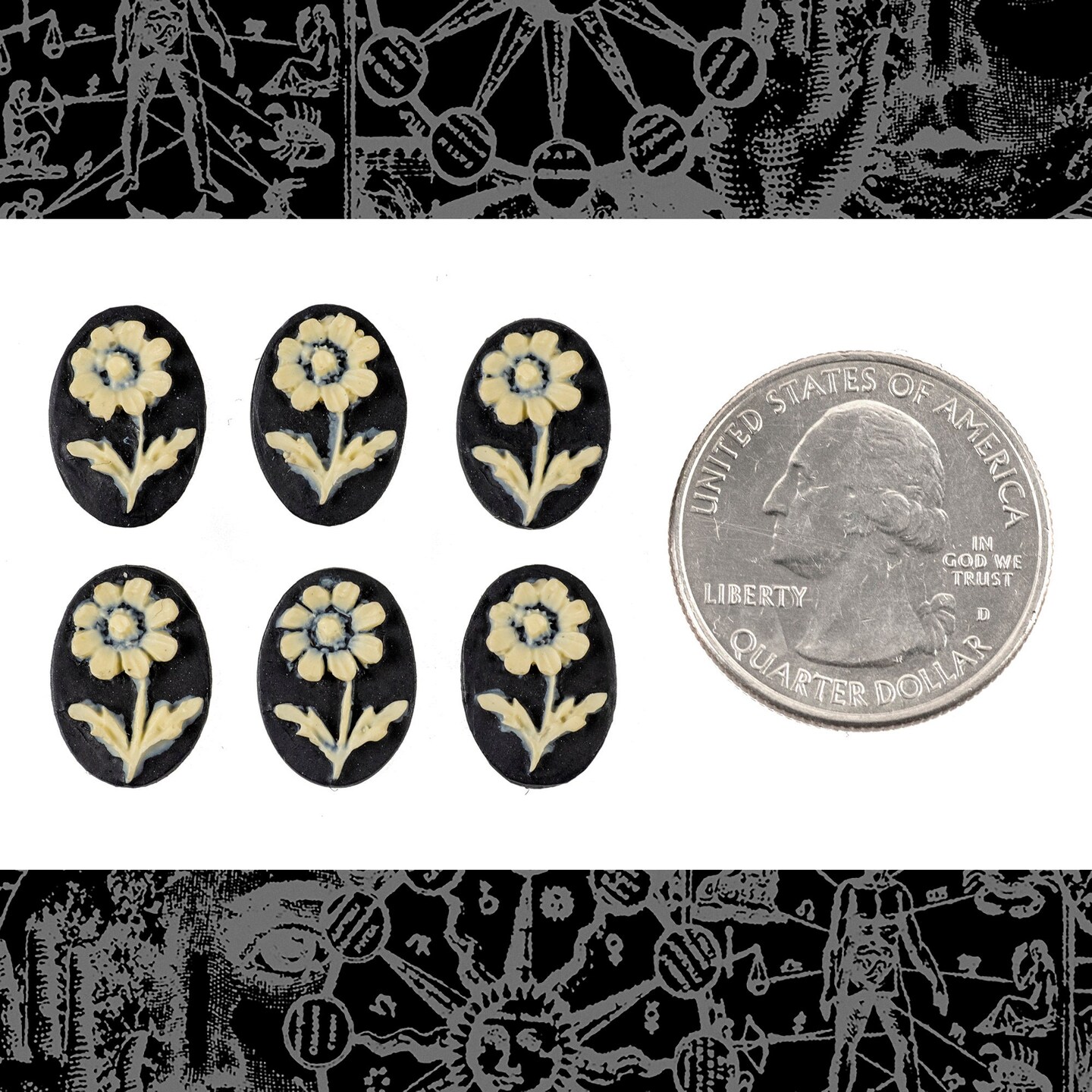 14mm x 10mm Black and Cream Daisy Resin Cameos - Set of Six - CAM262