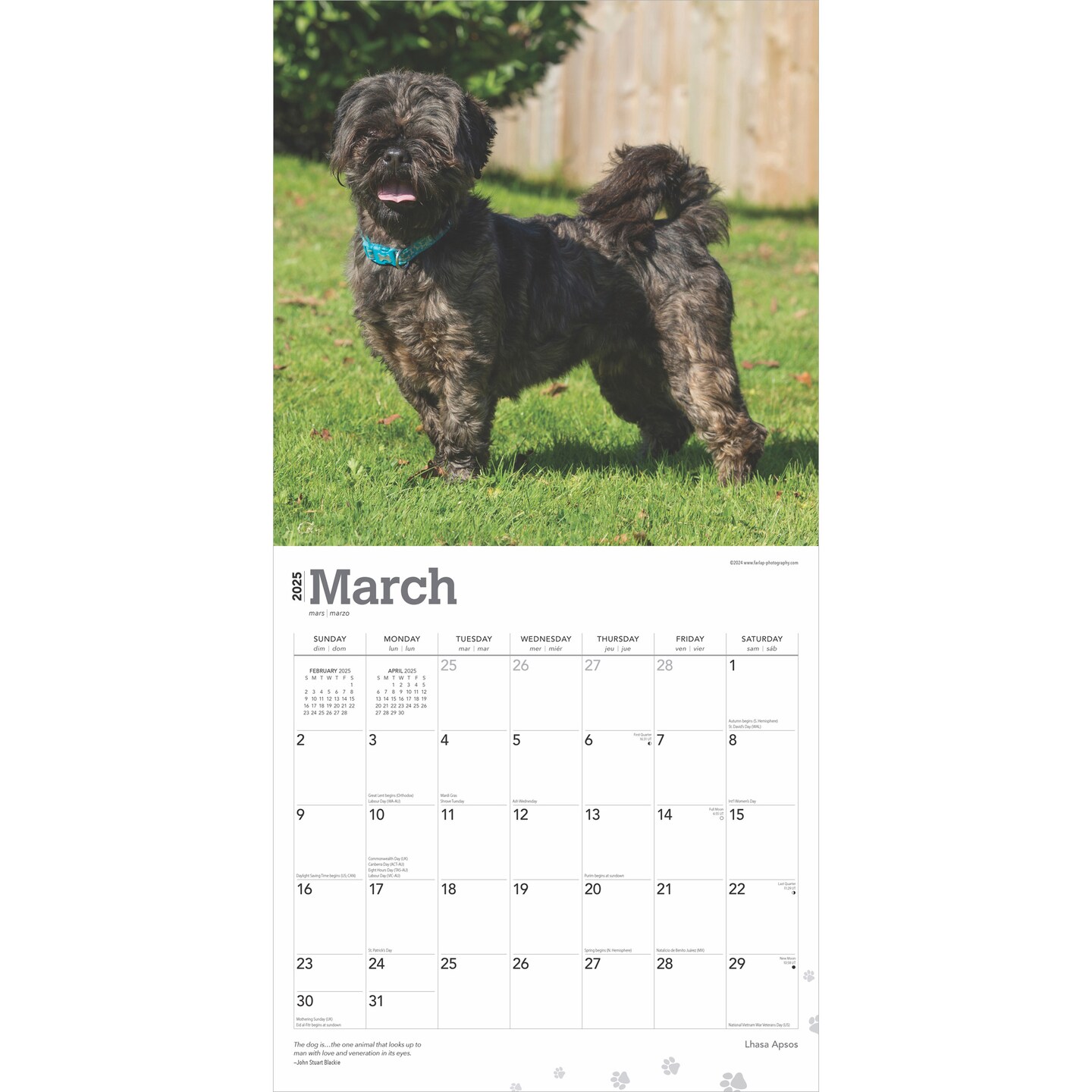 Lhasa Apsos | 2025 12 x 24 Inch Monthly Square Wall Calendar | Plastic-Free | BrownTrout | Animals Dog Breeds