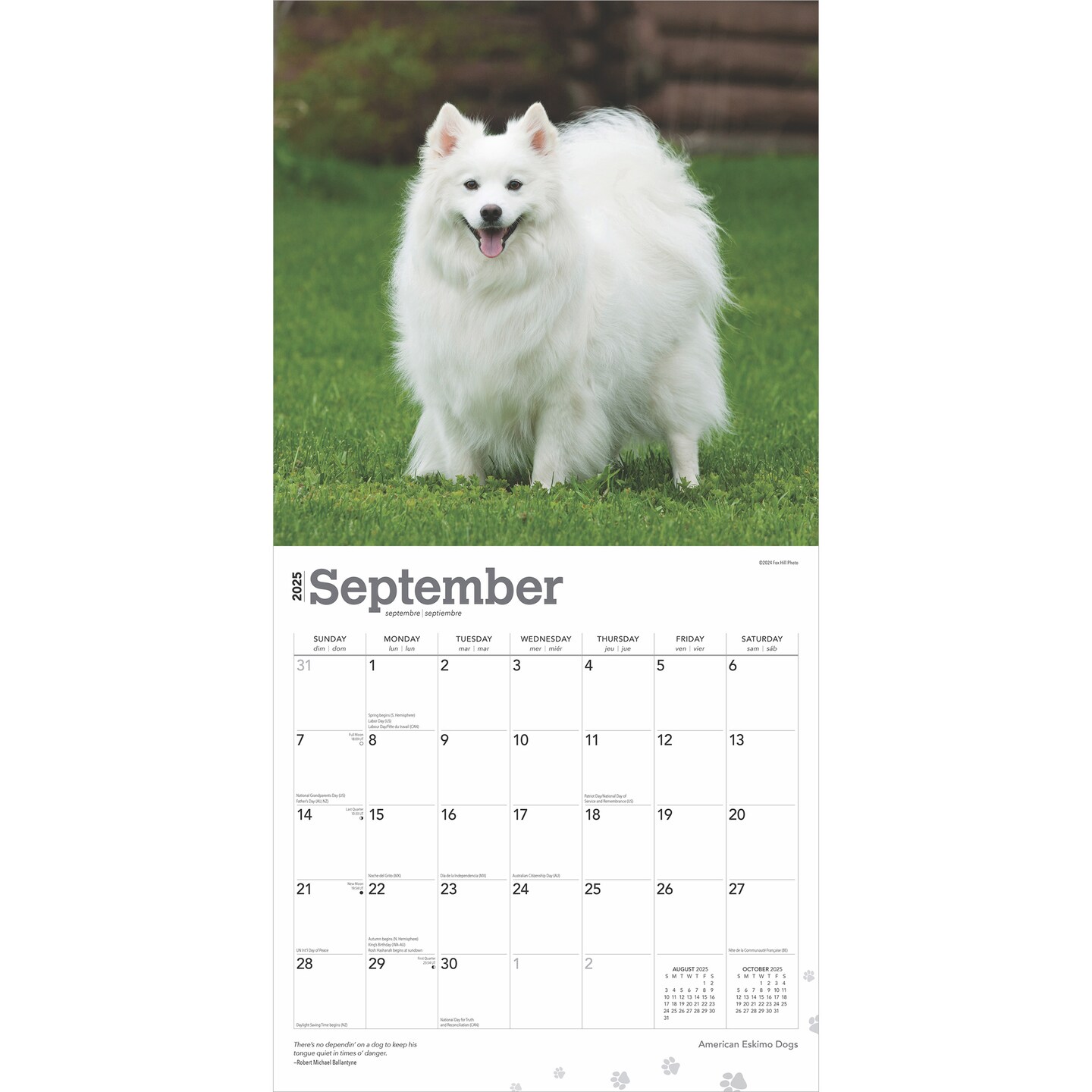 American Eskimo Dogs | 2025 12 x 24 Inch Monthly Square Wall Calendar | Plastic-Free | BrownTrout | Animals Dog Breeds