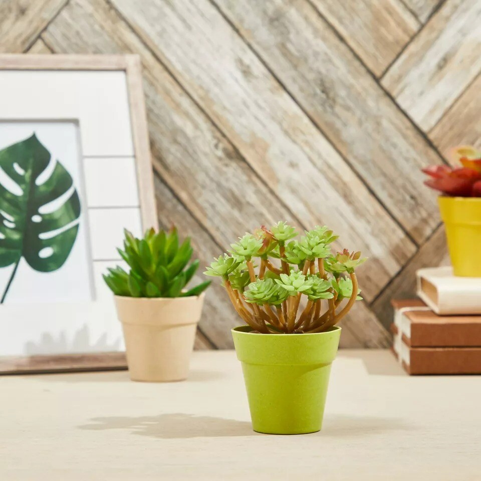24 Pack Tiny Plastic Pots for Plants 1.5 Inch, Planters for Flowers, 4 Colors