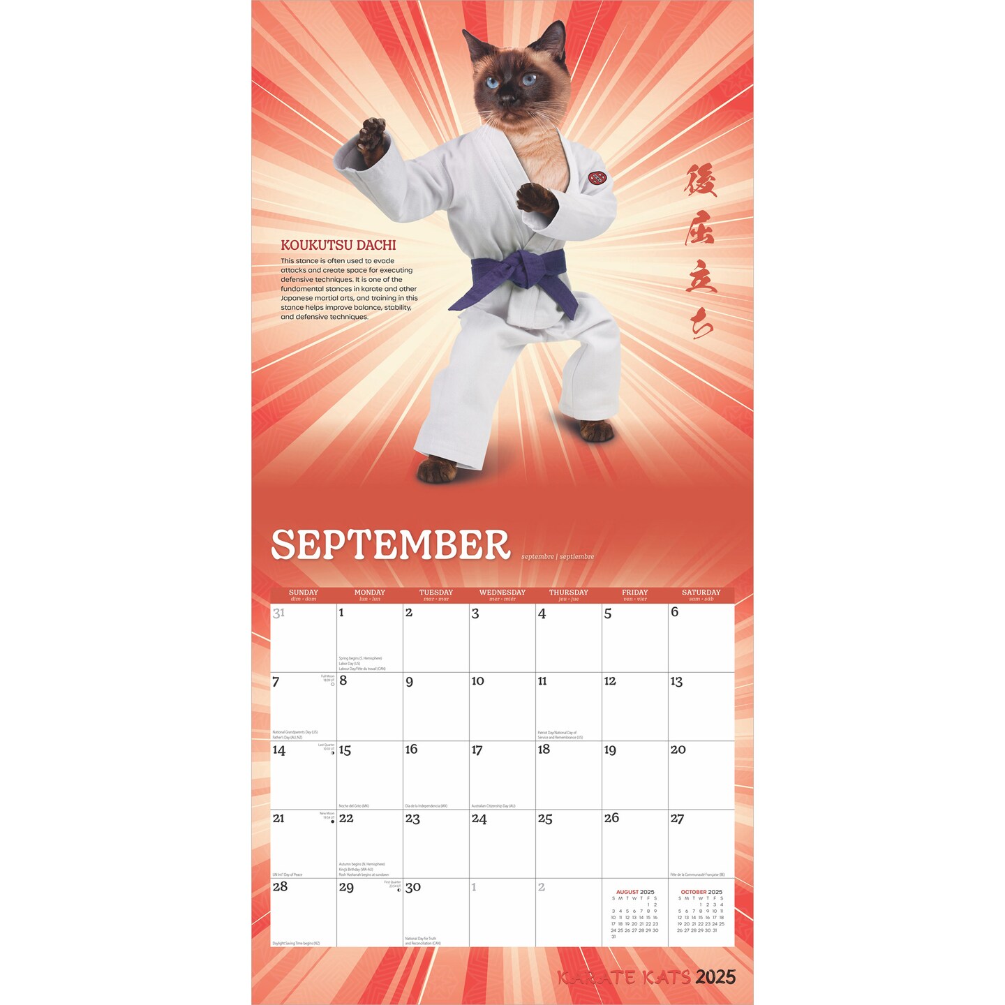 Karate Cats OFFICIAL | 2025 12 x 24 Inch Monthly Square Wall Calendar | Plastic-Free | BrownTrout | Pets Funny Animals Feline
