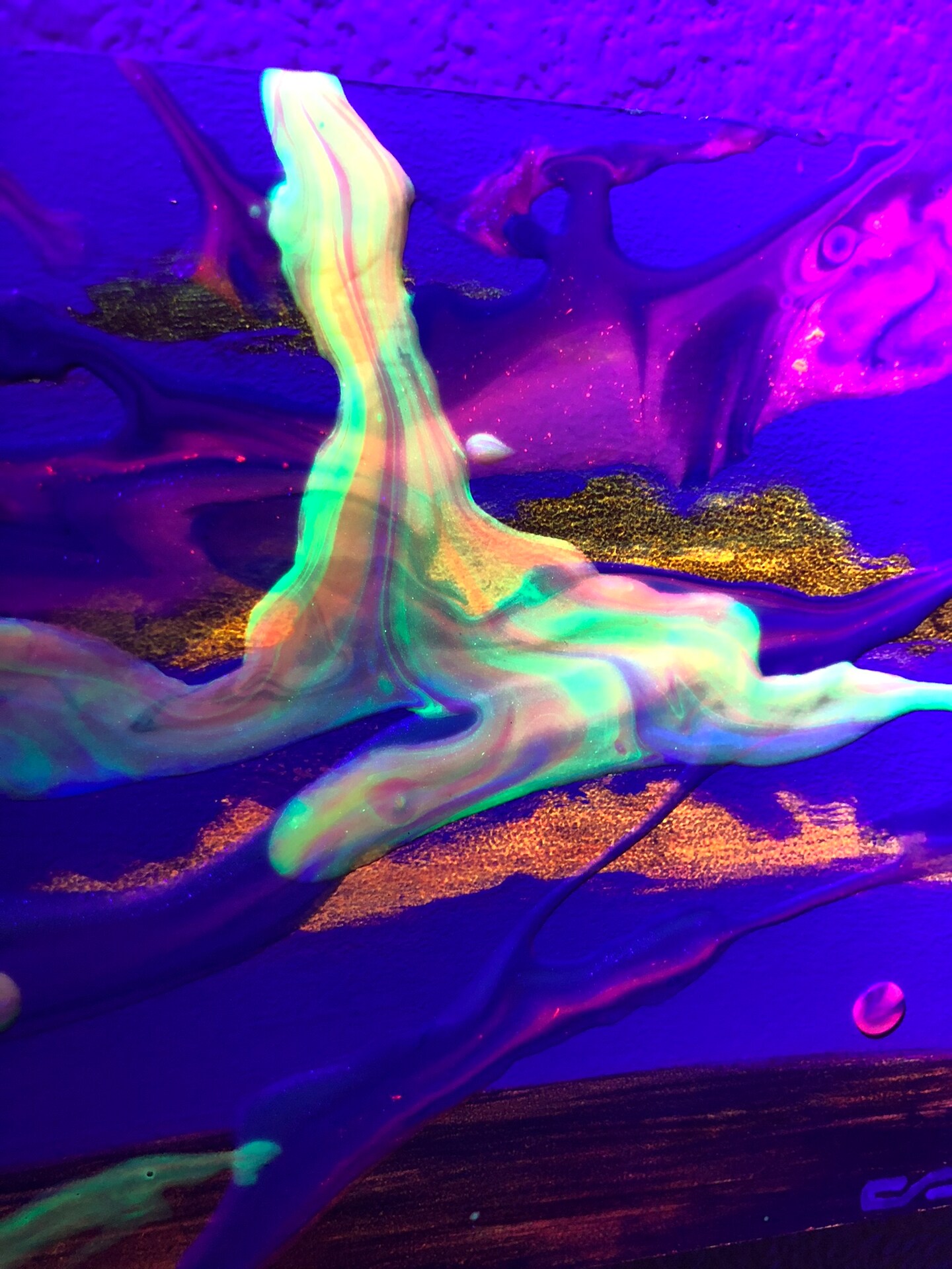 【V.W.P】The Phenomenon ART PANEL V.W.P】The Phenomenon ART PANEL RIM／1st ONE-MAN LIVE「現象