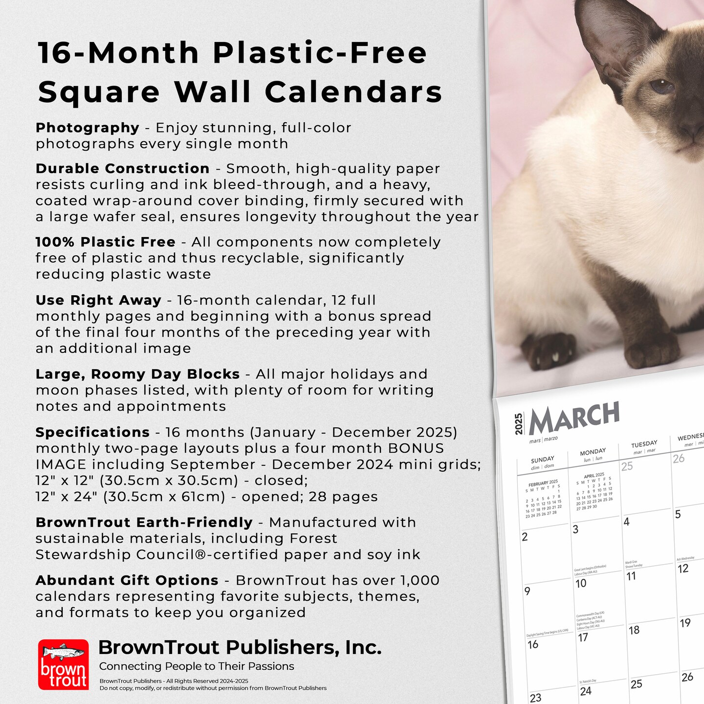 Siamese Cats | 2025 12 x 24 Inch Monthly Square Wall Calendar | Plastic-Free | BrownTrout | Animals Kittens Feline