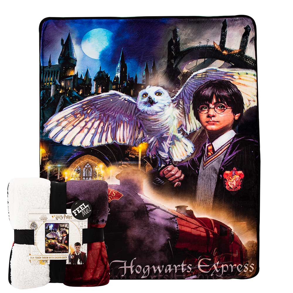 Warner Bros. Harry Potter Magic Montage Silk Touch Sherpa Blanket 60x80 Inches