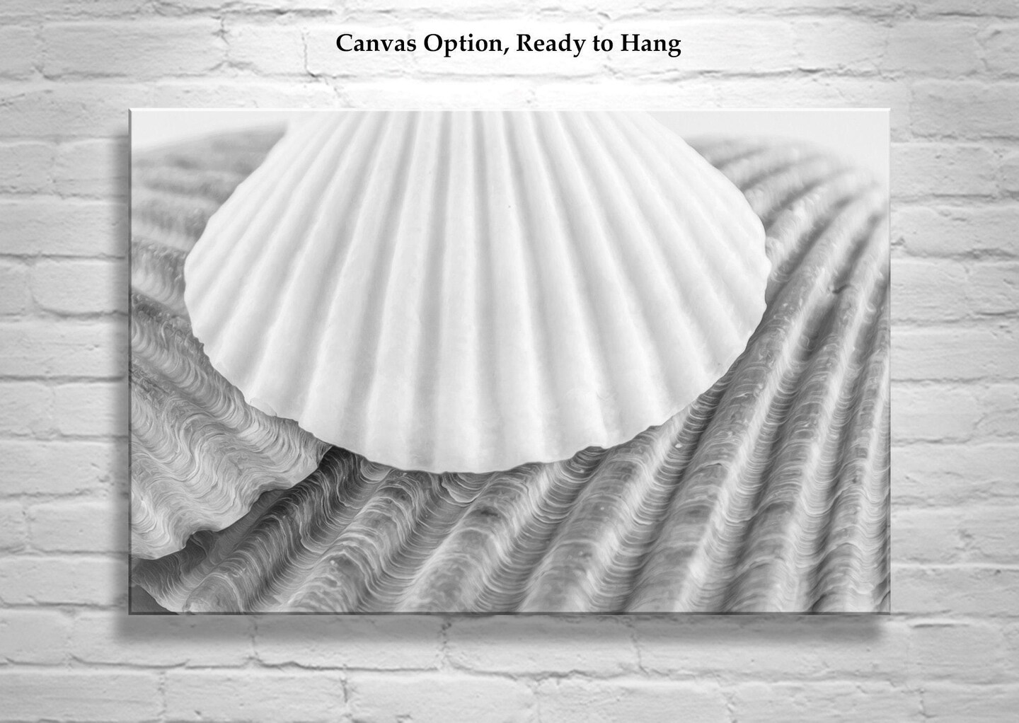 Seashells Wall Decor for Bathroom in Black and White product 3