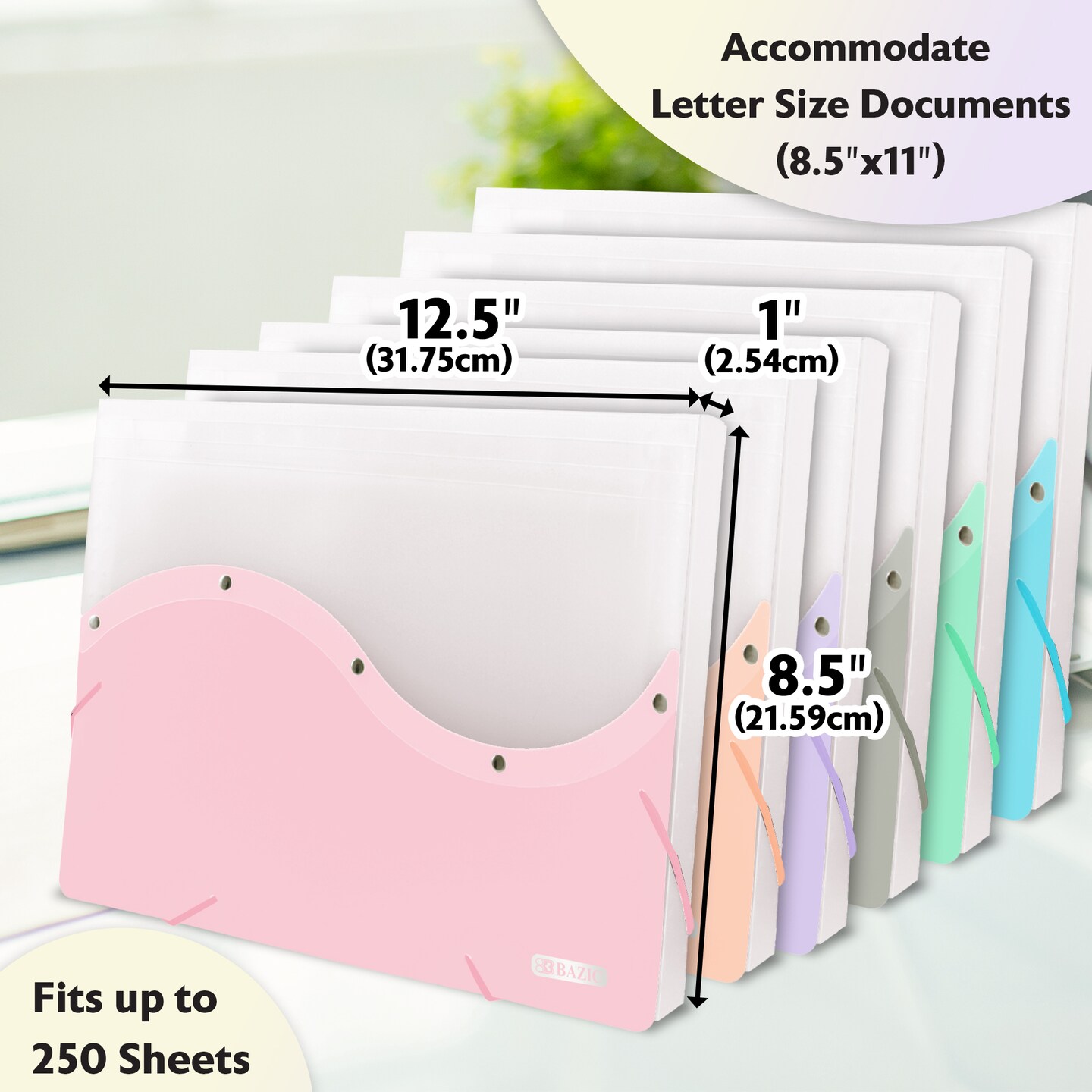 BAZIC Document Case Letter Size Two Tone