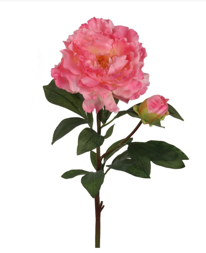 4pc 30&#x22; Peony Stem