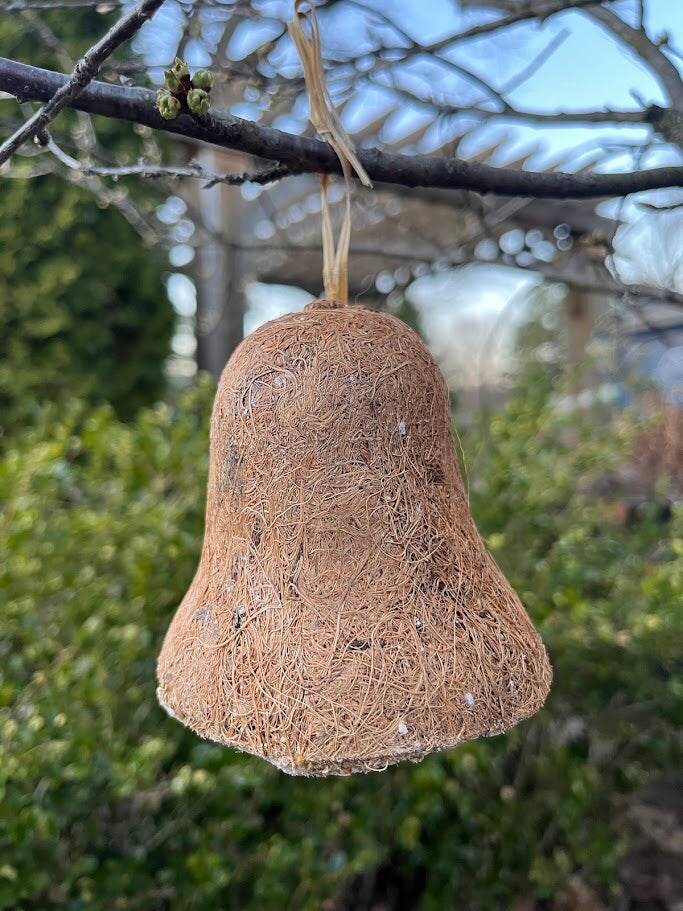 Suet Bell w/ Mealworms