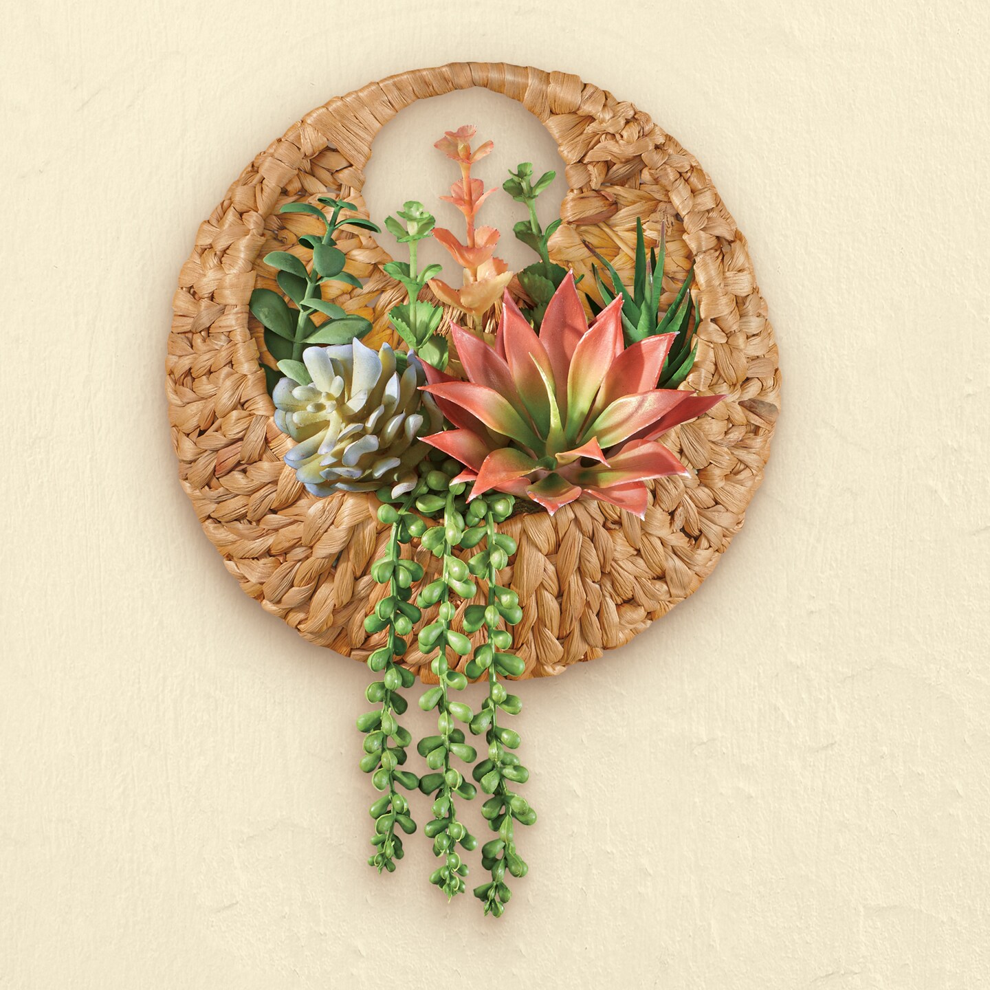 succulent plant arrangement ideas Serenity Succulent Arrangement