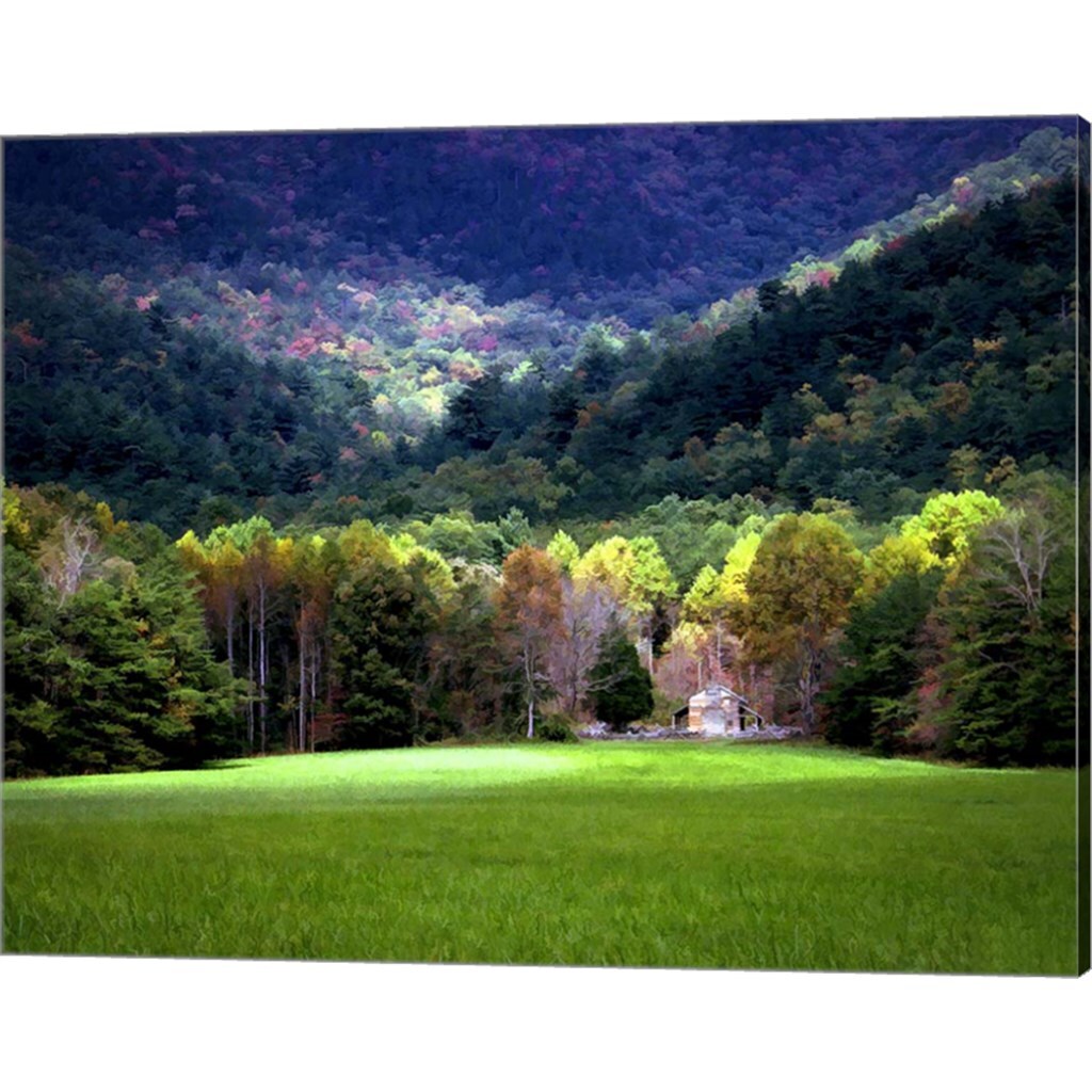 Oliver Cabin GSMNP, TN by J.D. McFarlan 20&#x22; x 16&#x22; Canvas Wall Art