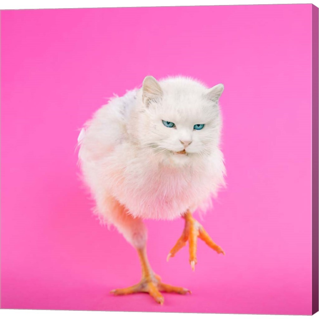 Cachicken by Pixelmated Animals 12&#x22; x 12&#x22; Canvas Wall Art