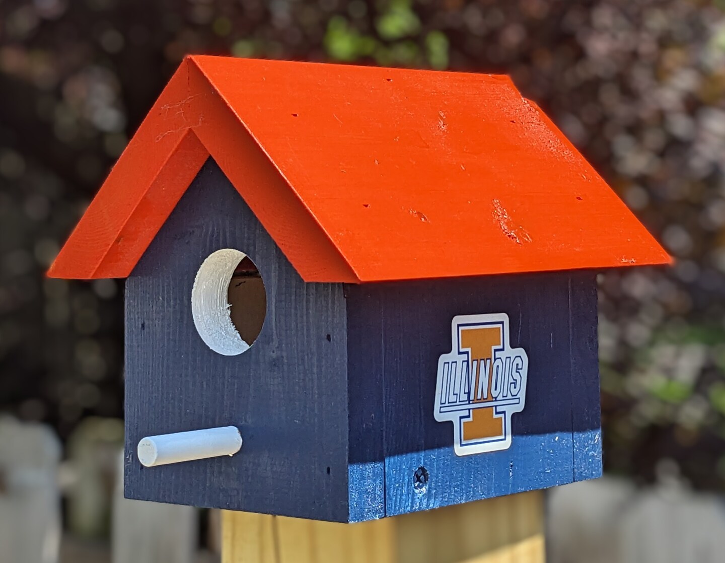 University of Illinois Retro Bird House | MakerPlace by Michaels