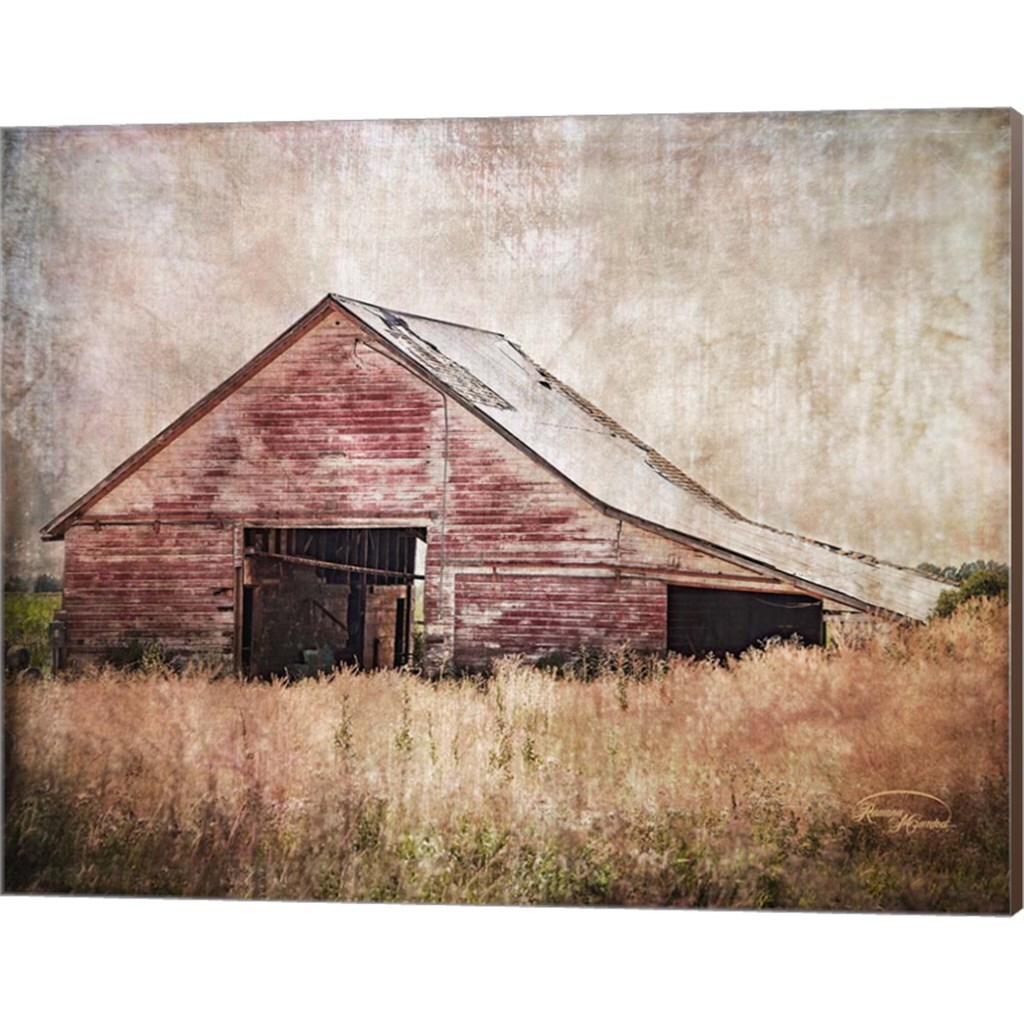 Red Shed by Ramona Murdock 20&#x22; x 16&#x22; Canvas Wall Art