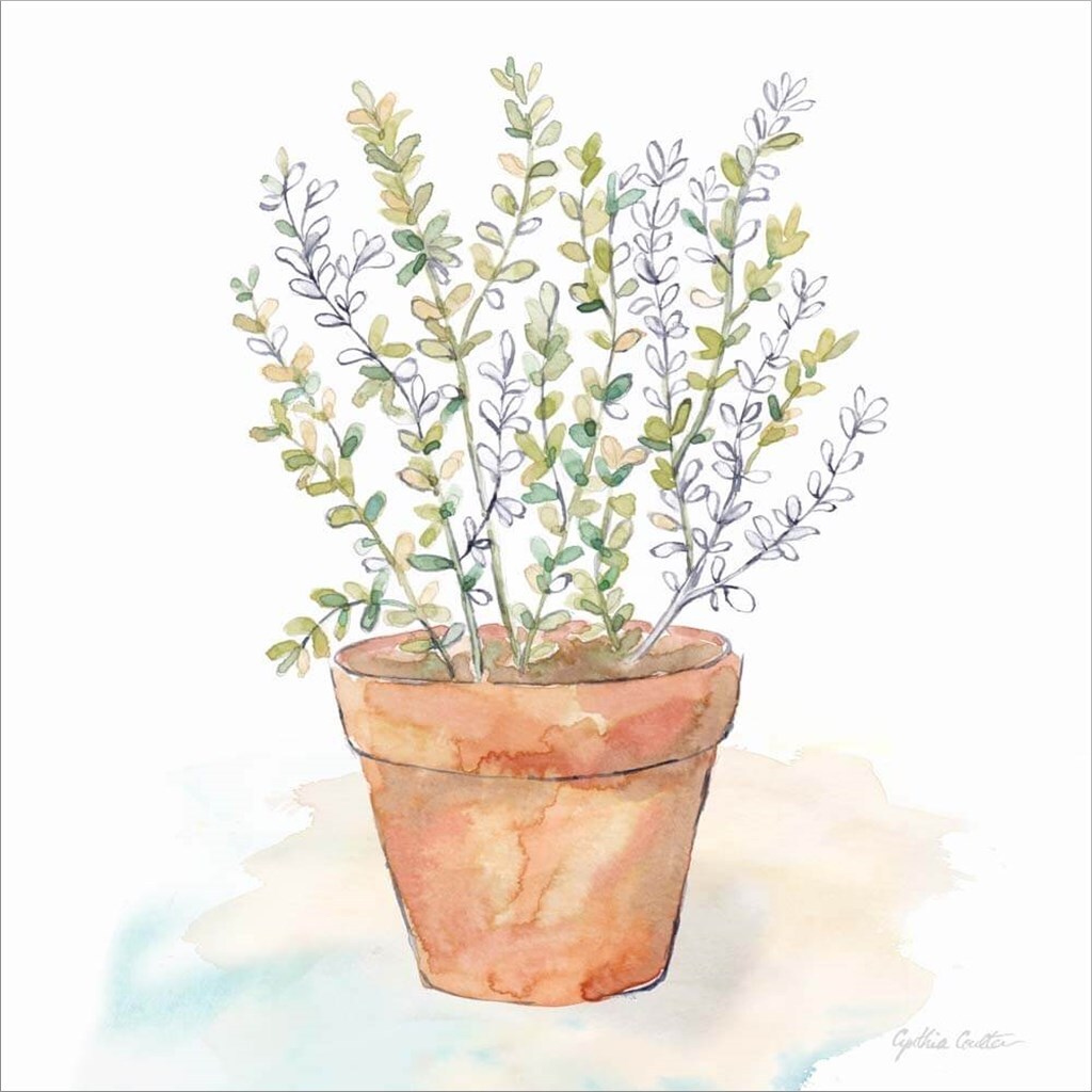Let it Grow XI by Cynthia Coulter 12&#x22; x 12&#x22; Canvas Wall Art