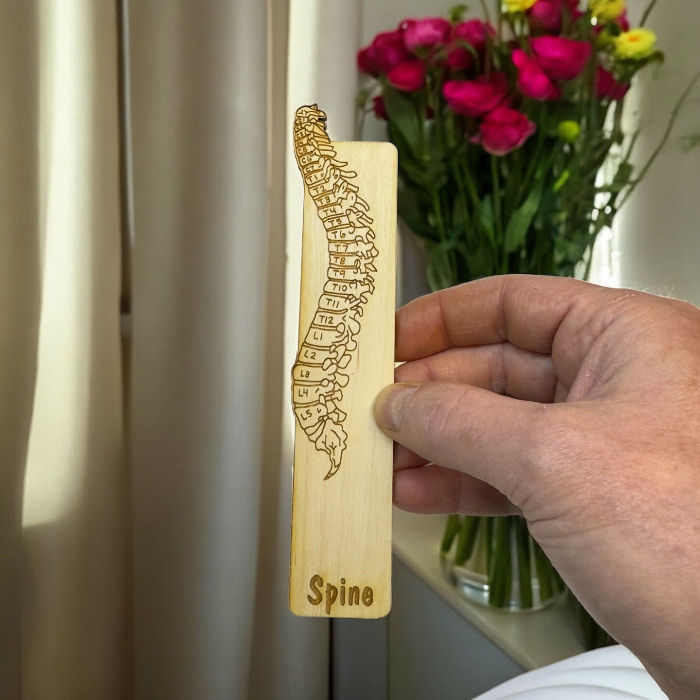 Bookmark - Spine Anatomy - Birch wood