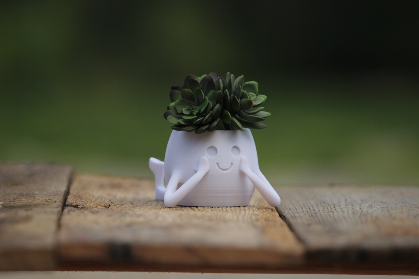 Succulent Planter Modern Small Cacti and Succulent Plants 3D Printed Happy  Face Planter Unique Decorative Planter for Home and Office | MakerPlace by  Michaels