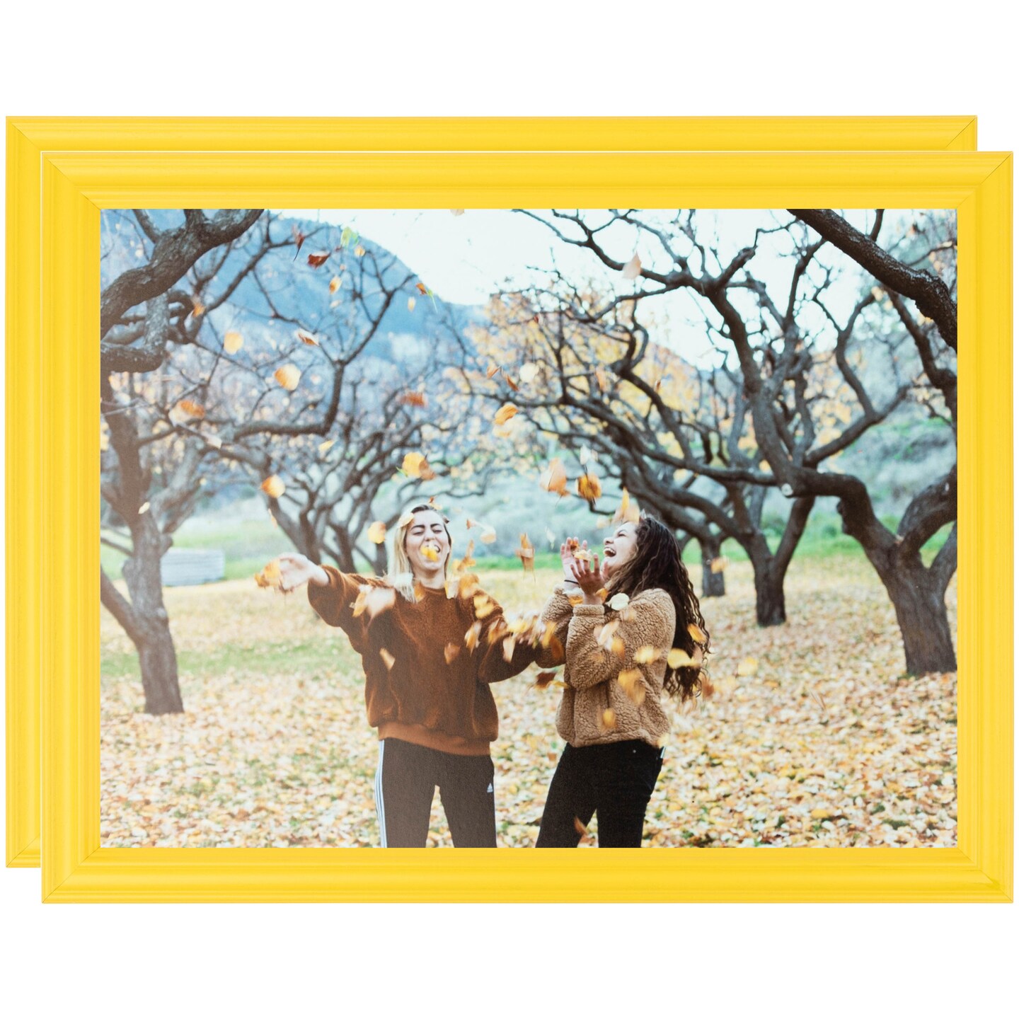 ArtToFrames 14x18 Inch Traditional Picture Frame, Multi Pack, Comes with Regular Glass (WOMPack-80-14x18)