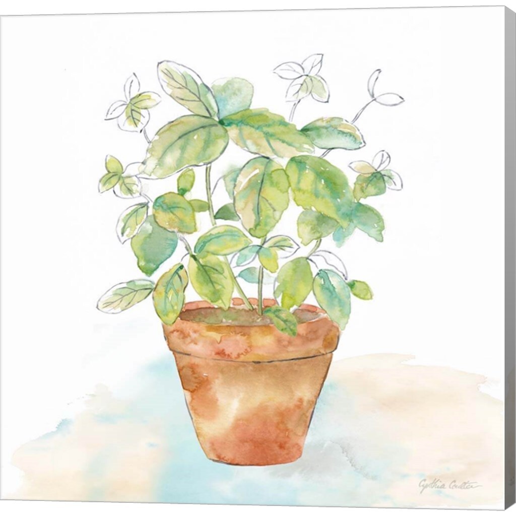 Let it Grow VI by Cynthia Coulter 12&#x22; x 12&#x22; Canvas Wall Art