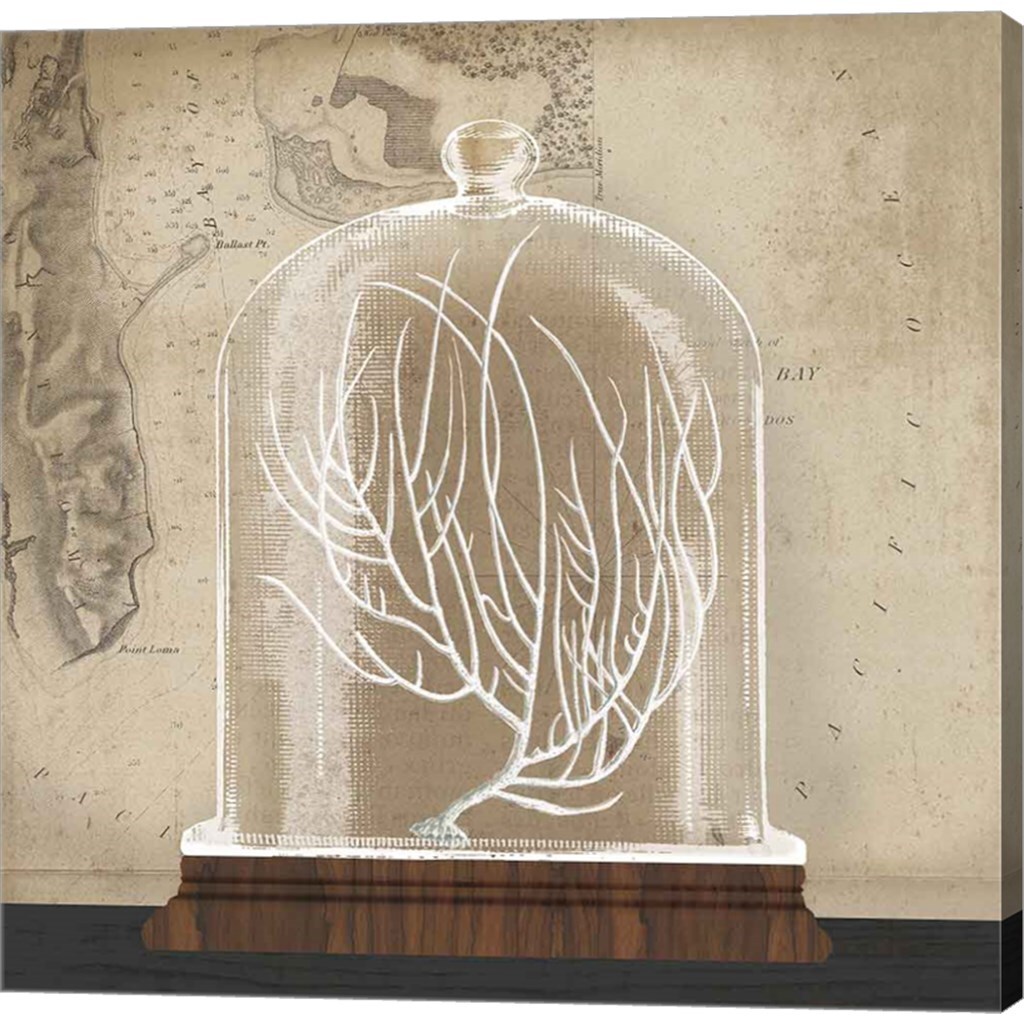 Coral Cloche II by Wild Apple Portfolio 12" x 12" Canvas Wall Art