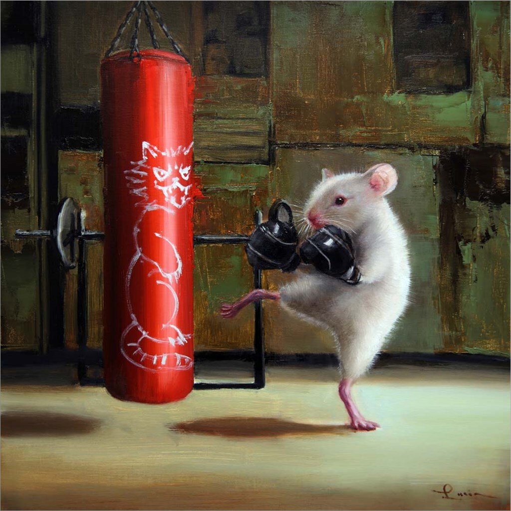 Gym Rat by Lucia Heffernan 12&#x22; x 12&#x22; Canvas Wall Art