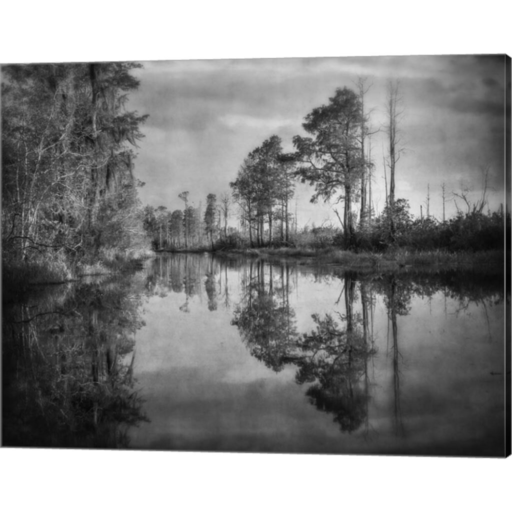 Dark Swamp by Wiff Harmer 20&#x22; x 16&#x22; Canvas Wall Art