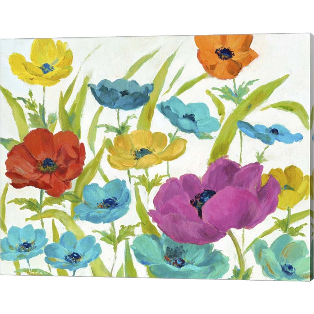 Bright by Marietta Cohen 20&#x22; x 16&#x22; Canvas Wall Art