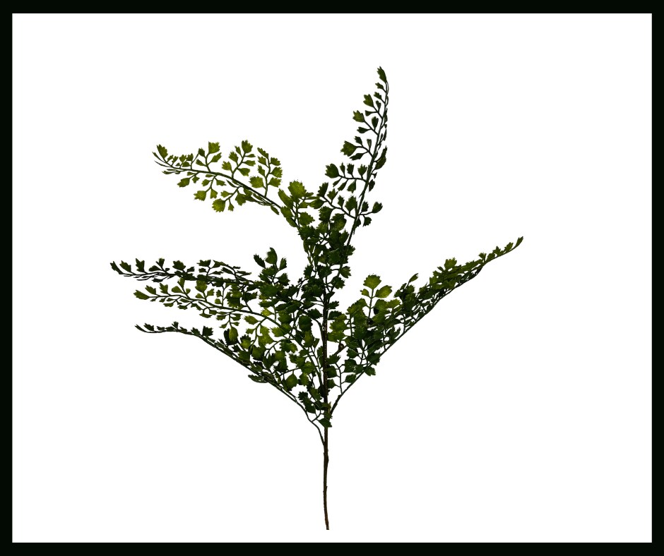 Vibrant and Versatile: 22-Inch Artificial Maidenhair Fern Spray-FG5654