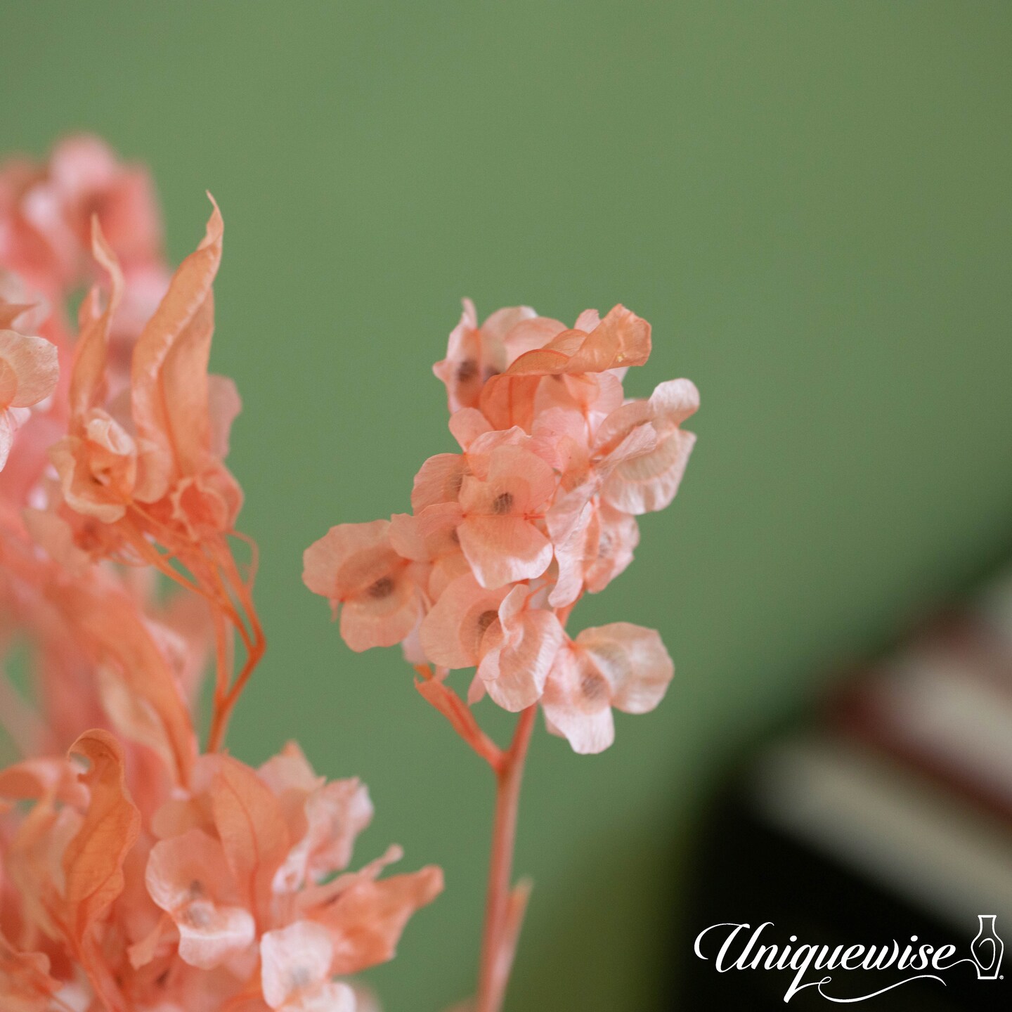 Uniquewise Preserved Real Floral Stems Chic Vase Fillers & Accents for Bouquets Centerpieces & Ornamental Displays Ideal for Home Office Boutique Cafe Resto Bar and Event Decor