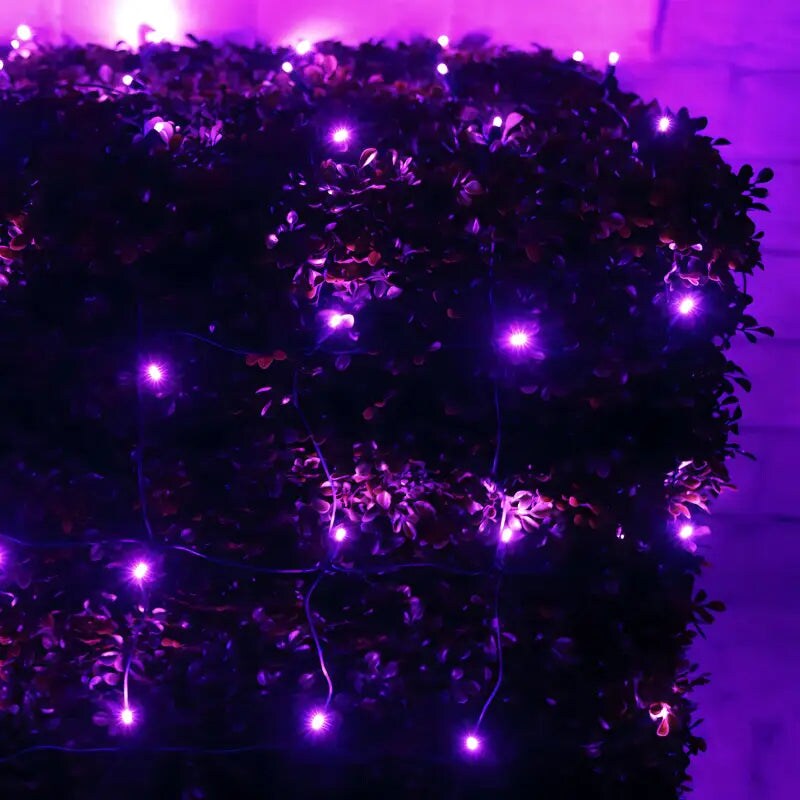 5mm 4&#x27; x 6&#x27; Purple LED Net Lights
