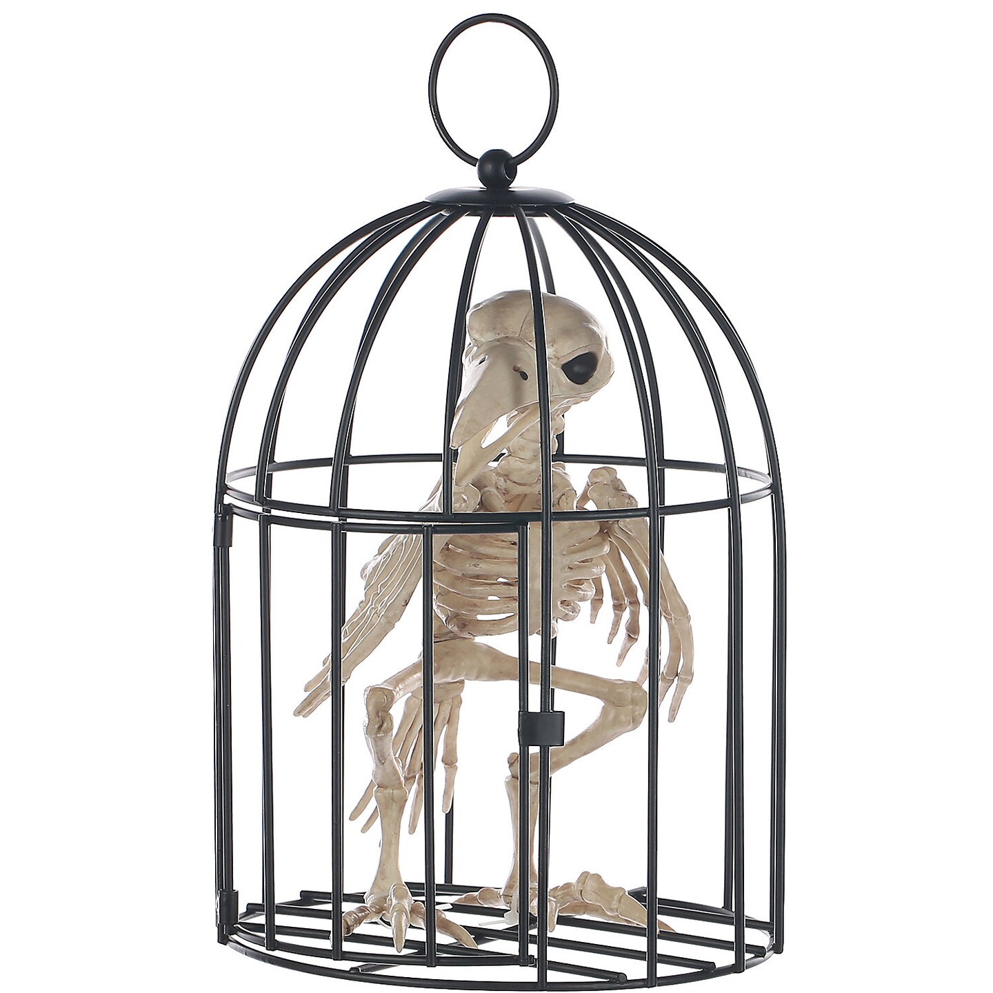 Skeleton Crow In Cage