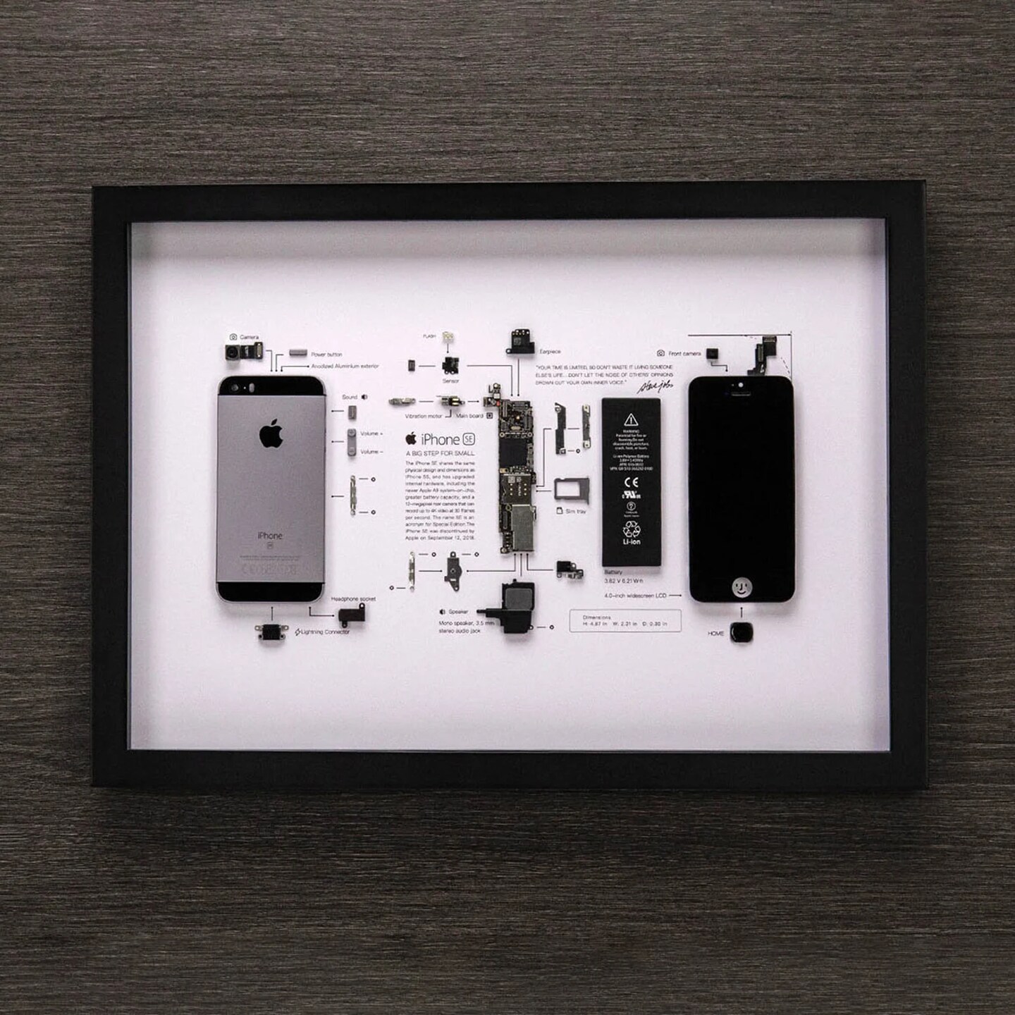 Framed iPhone 3 3Gs 4 4s 5 6 7 8 X Disassembled Phone Wall Art