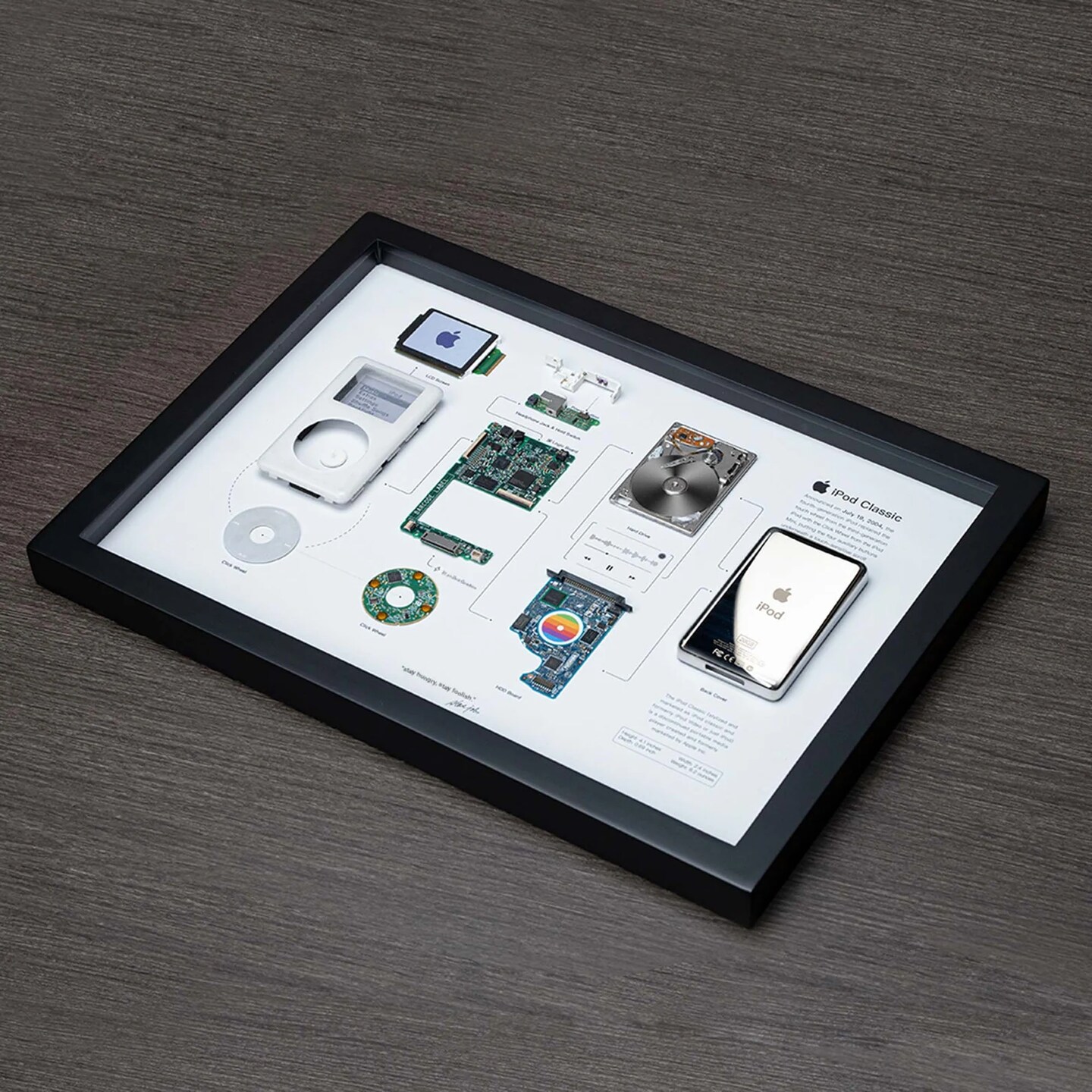 Framed Apple iPod Classic 4th Gen Disassembled Wall Art Tear