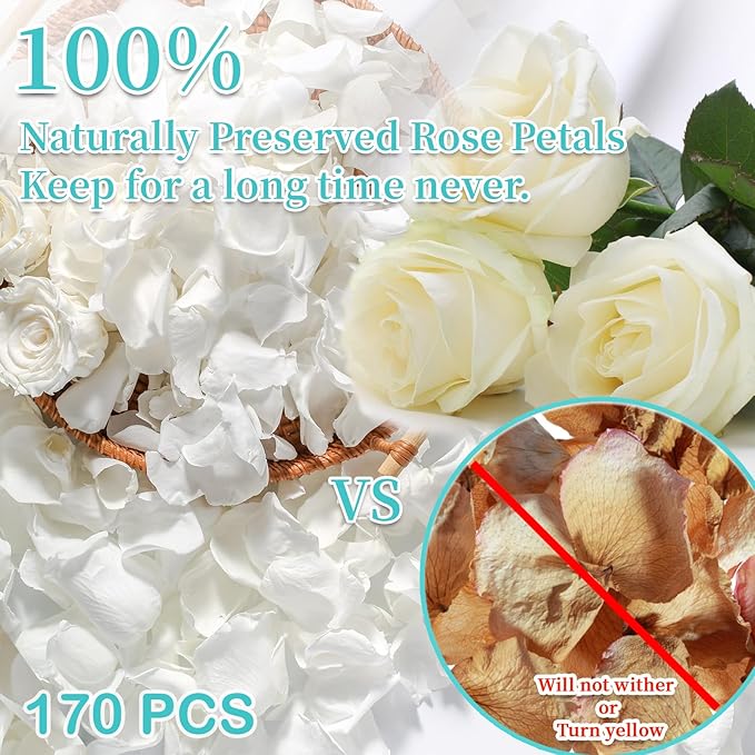 Real Dried Ivory White Rose Petals, Frozen Preserved Petals for, Wedding Party Decorations