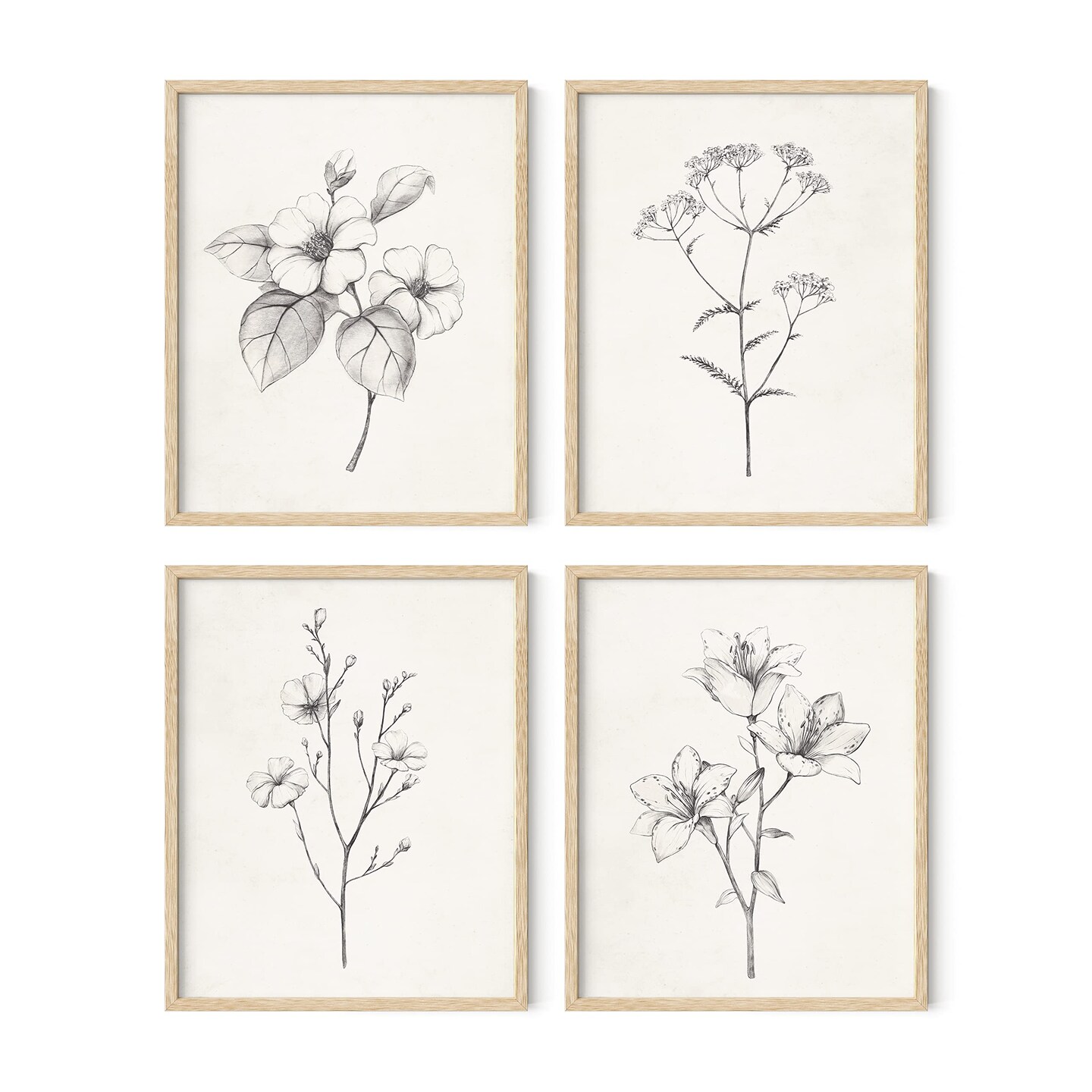 Haus and Hues Botanical Prints Set of 4