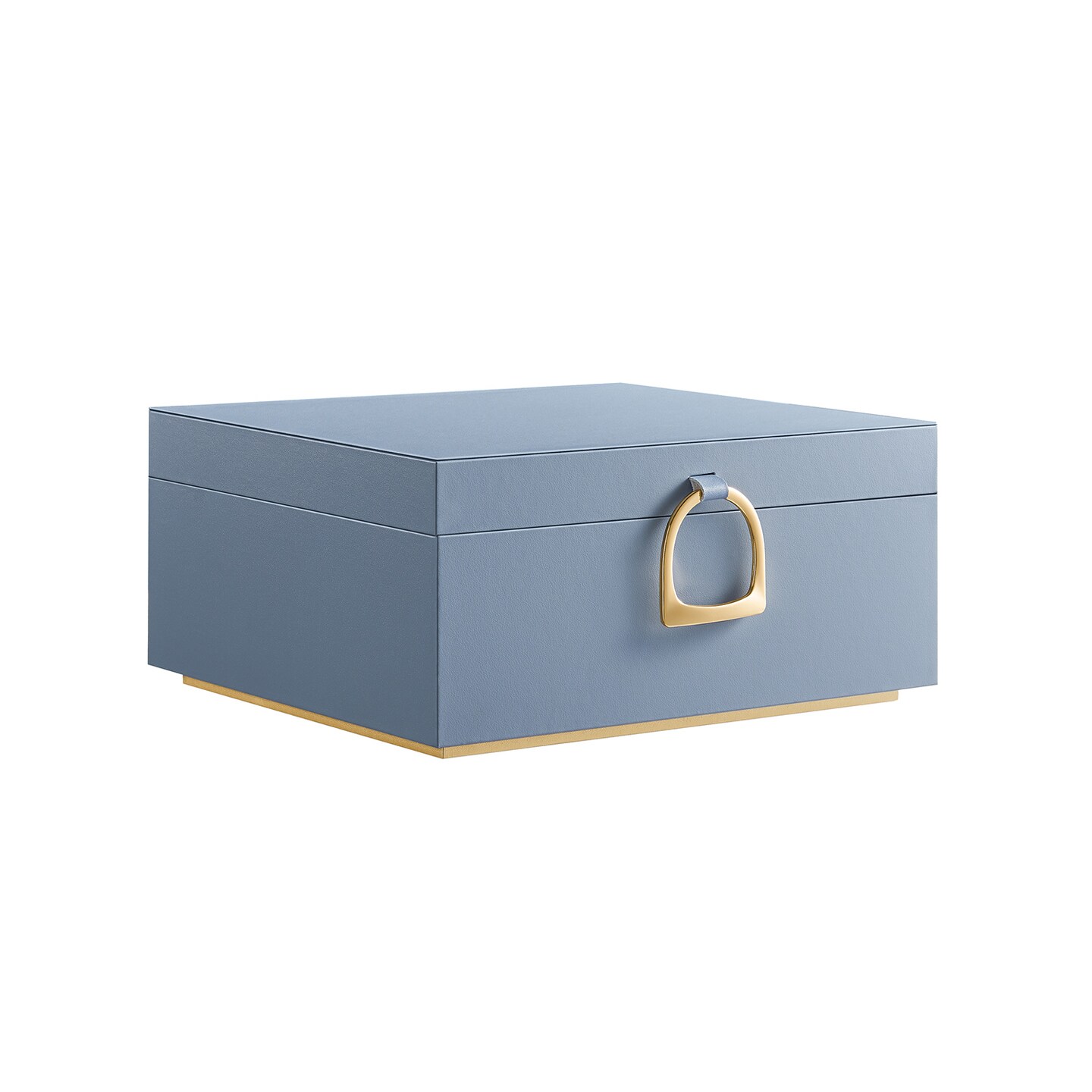 Jewelry Storage Box with Lid Hooks Tray Organizer Necklace Ring Earring Case