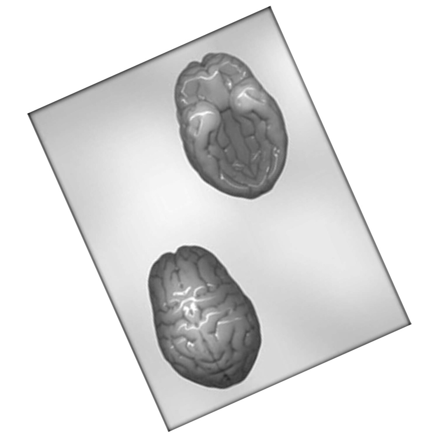 4&#x22; 3D Brain Mold