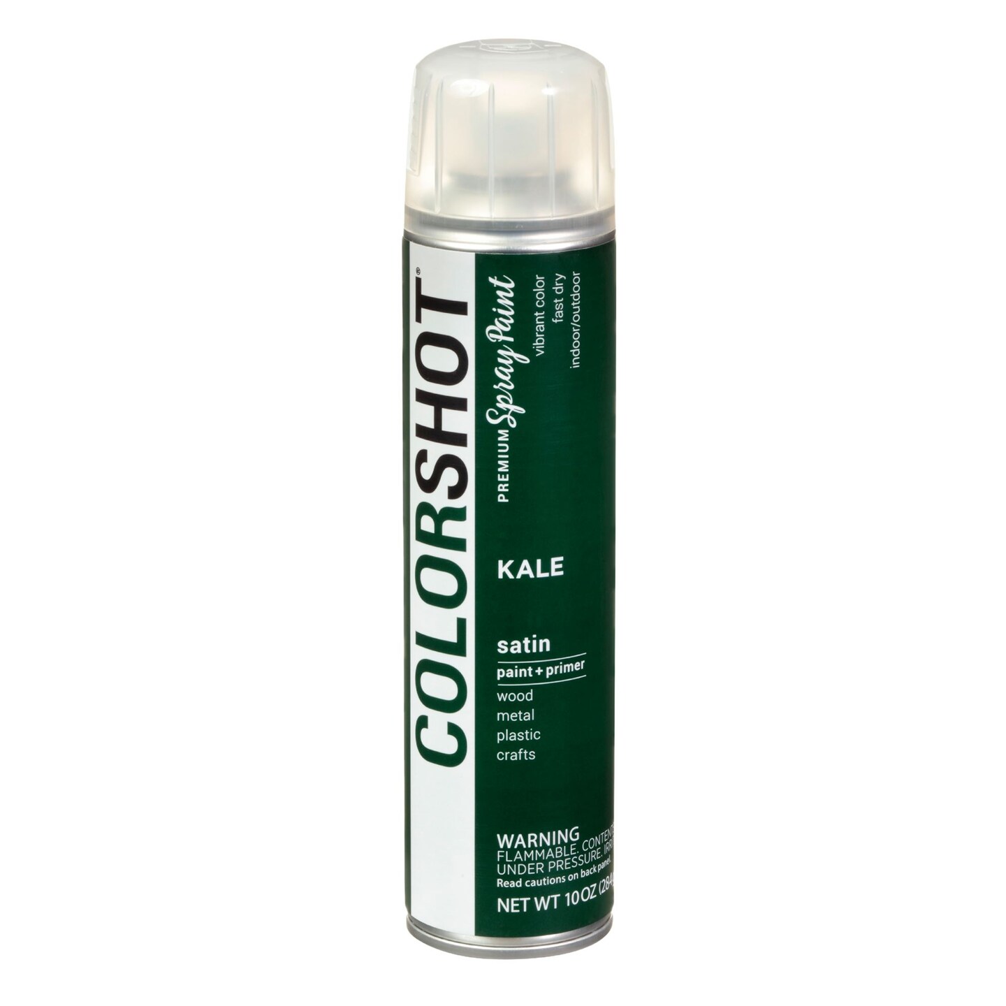 COLORSHOT Satin Spray Paint Kale (Dark Green) 10 oz. 4 Pack