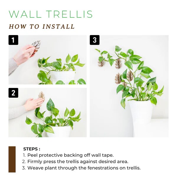 Treleaf Monstrella - Wall mounted - Wall Clips for Climbing Plants - Wooden  Trellis - Create Green Wall with houseplant vines, pothos | MakerPlace by  Michaels