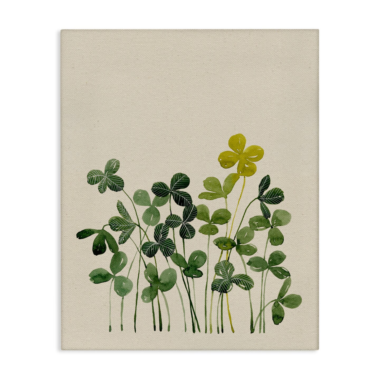 Stupell Industries Hidden Gems Botanicals Canvas, design by Grace Popp