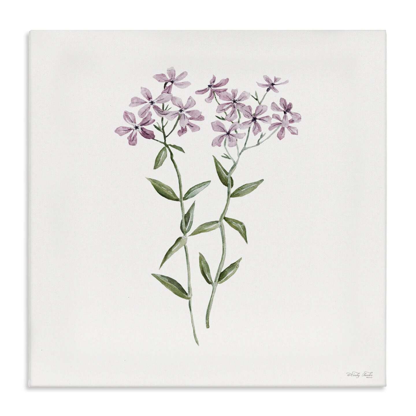 Stupell Industries Purple Phlox Botanical Canvas, design by Cindy Jacobs